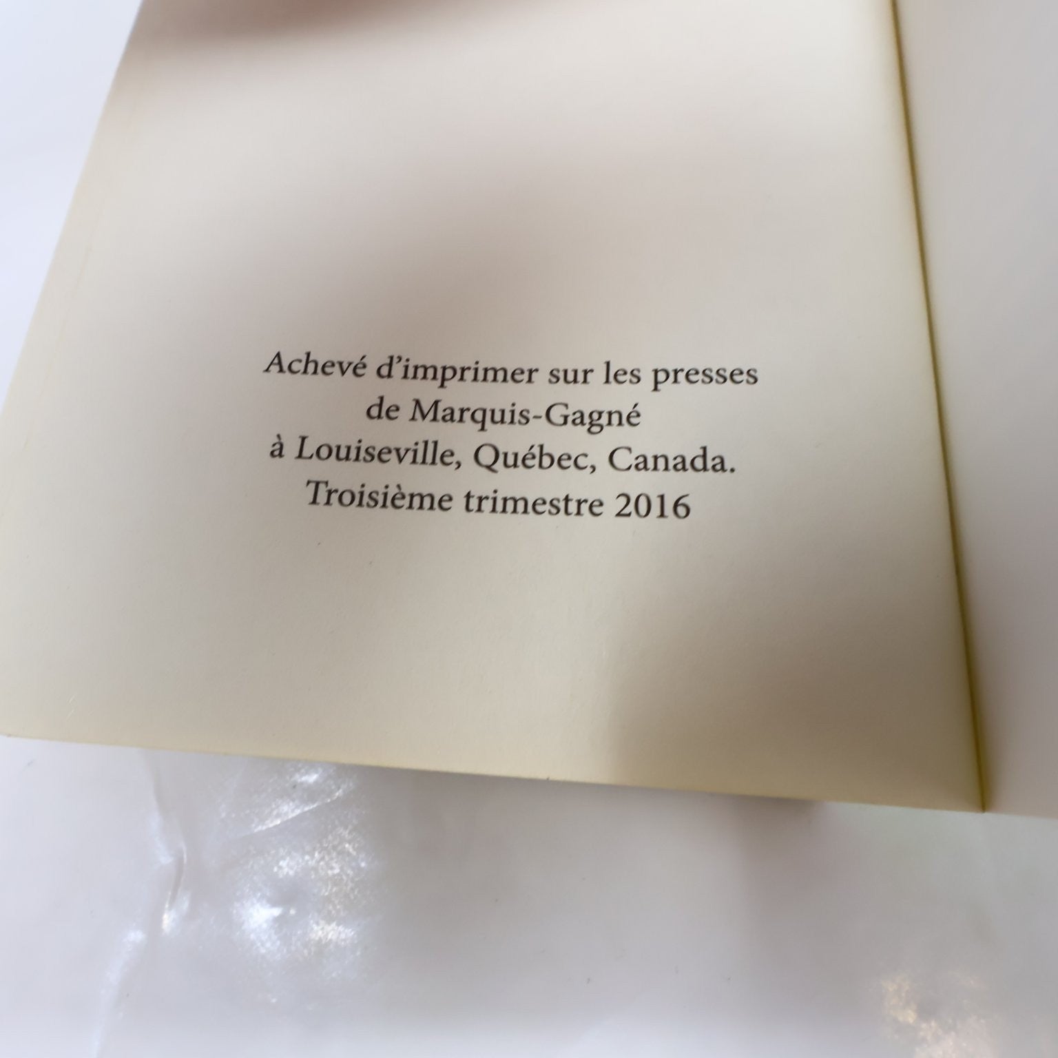 Étincelle Michèle Plomer 2016 Français Livre Edition Marchand de Feuilles