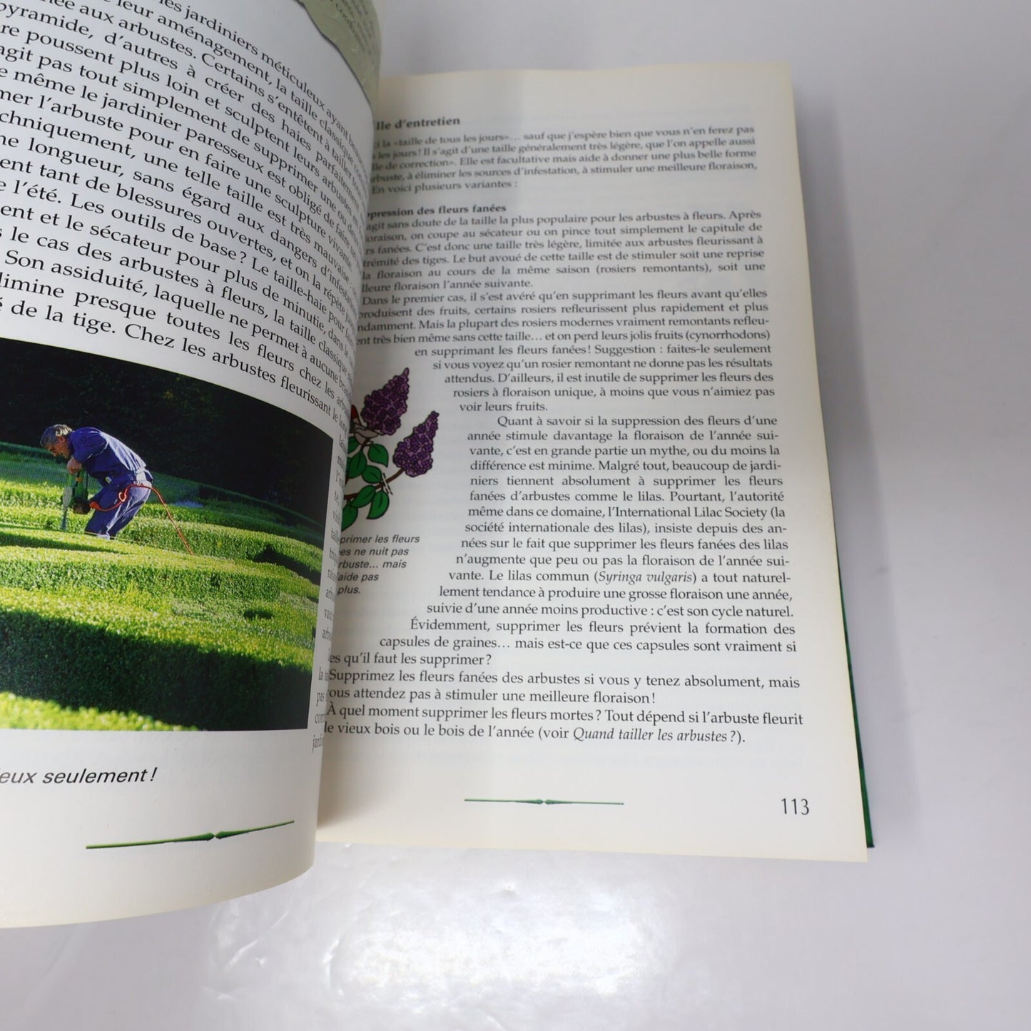 Le Jardinier Paresseux Lot 5 Livres Larry Hodgson Arbustes/Annuelles/Vivaces