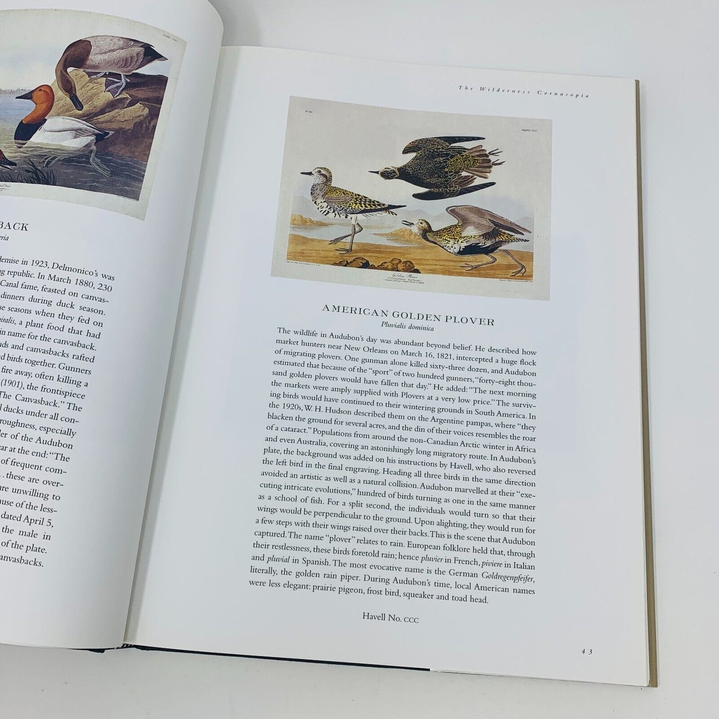 1999 Signed Audubon's Wilderness Palette The Birds of Canada by David Lank Book