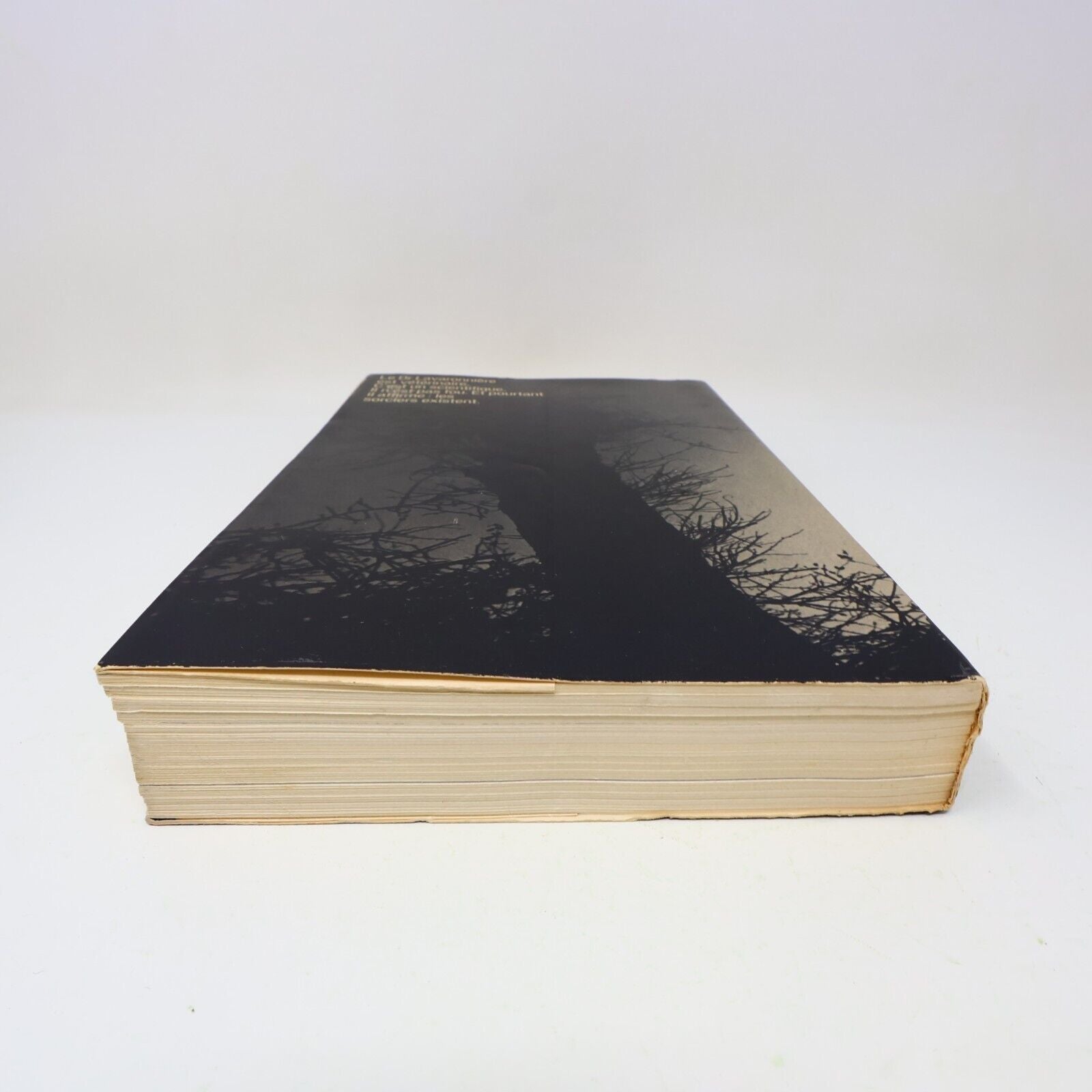 1973 L'Oeil du Sorcier Philippe Alfonsi Patrick Pesnot Ésotérisme Robert Laffont