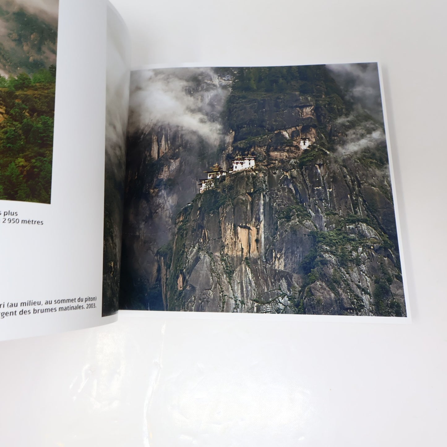Himalaya les Chemins du Bouddhisme Coffret Matthieu Ricard Martinière 2009 PB