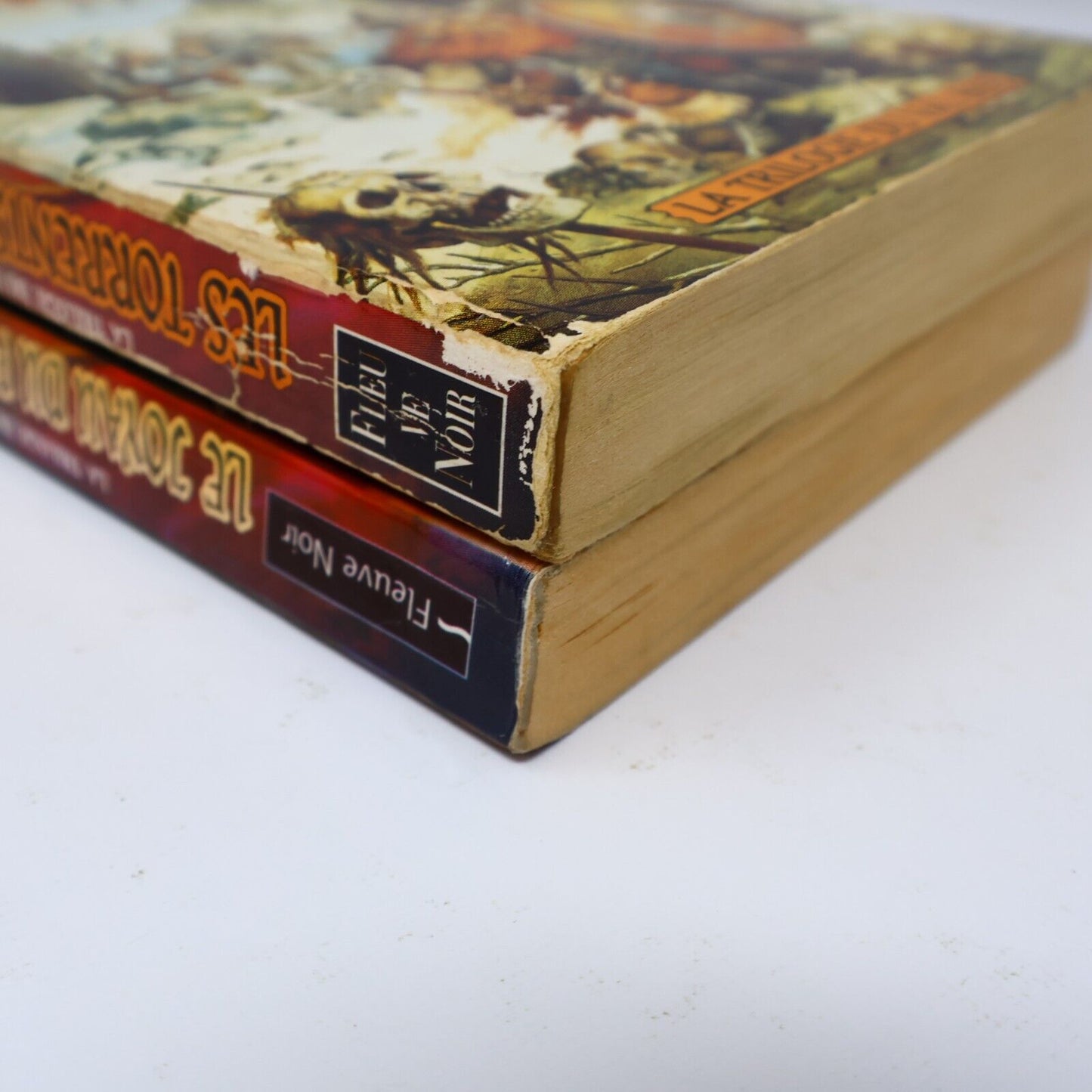 Lot 2 Livres Royaumes Oubliés #16-17 La Trilogie du Val Bise Fantasy Français PB