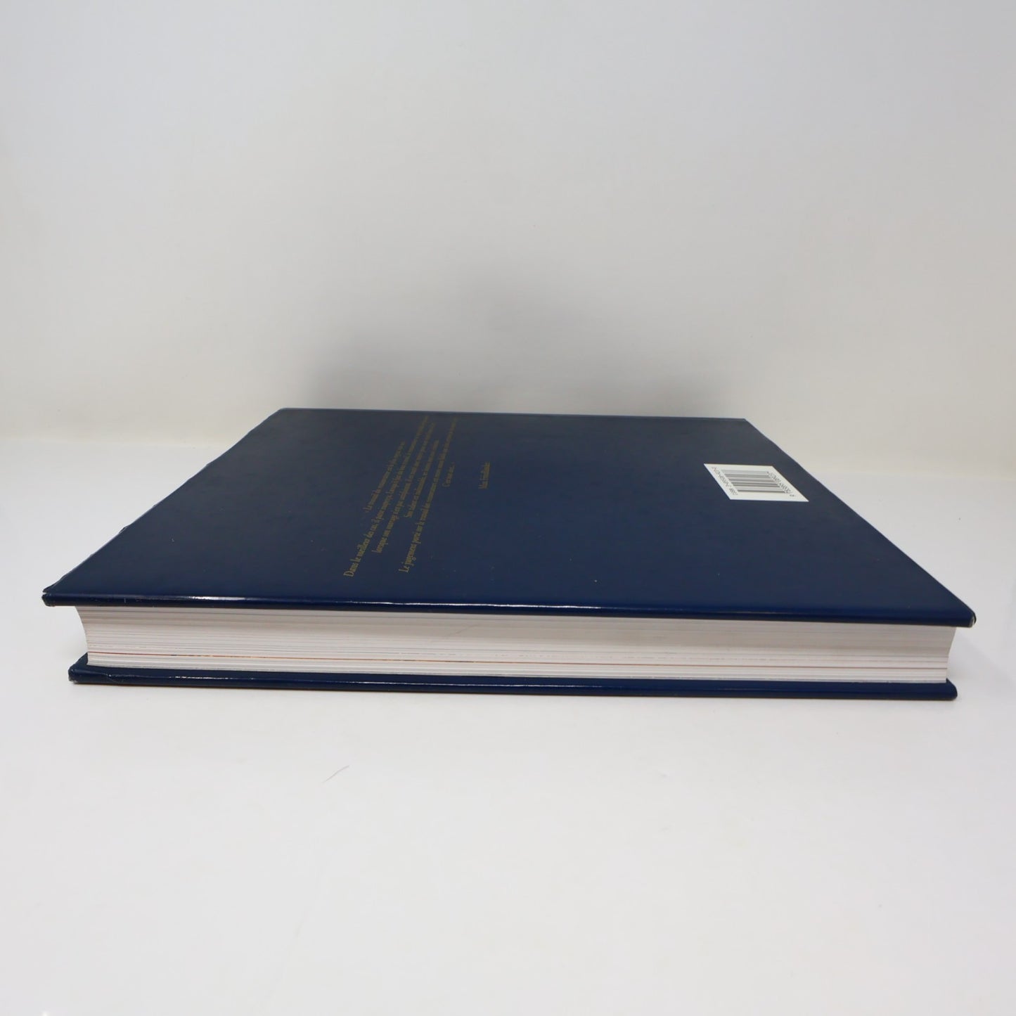 Manuel de Restauration des Tableaux Knut Nicolaus Konemann 1999 HC DJ Français