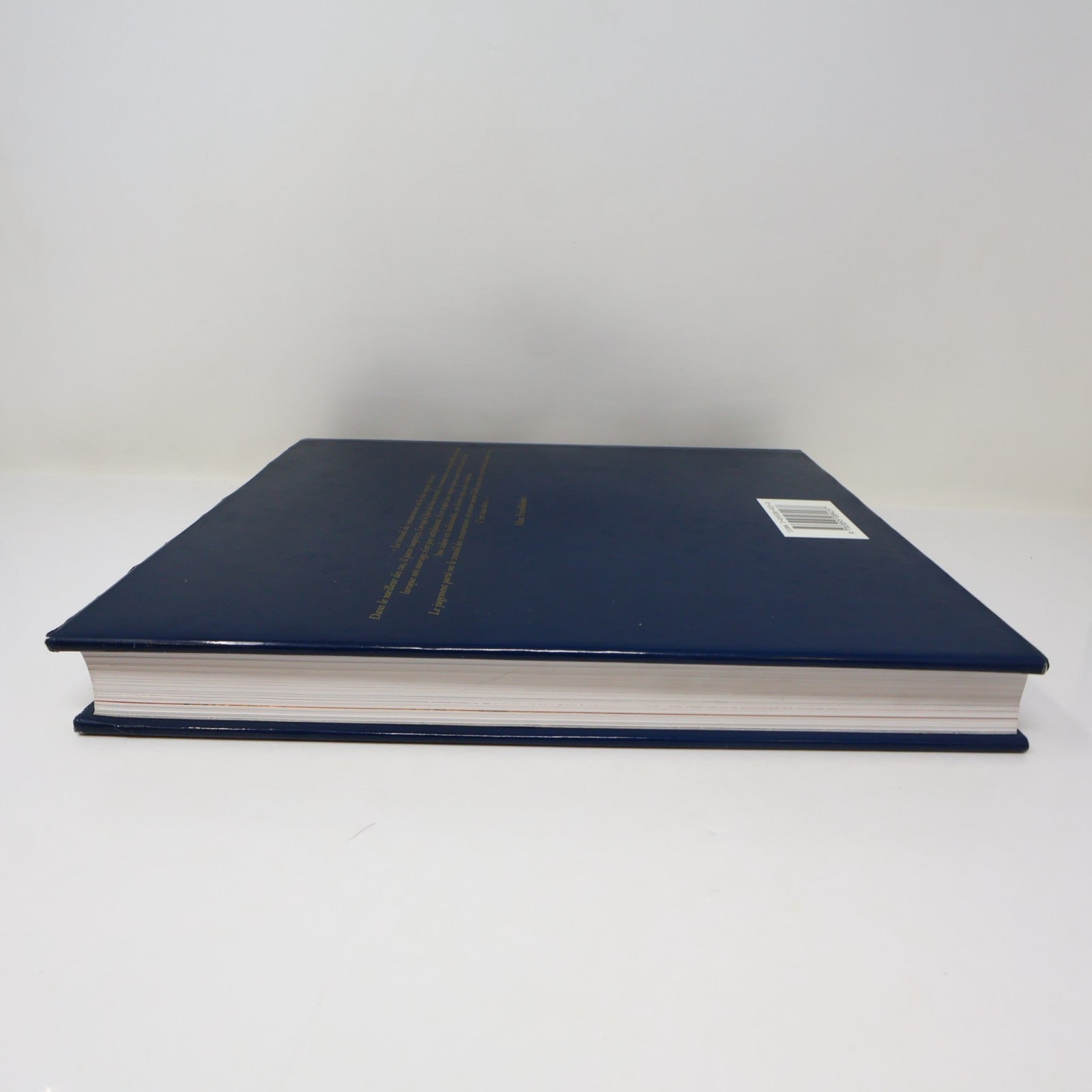 Manuel de Restauration des Tableaux Knut Nicolaus Konemann 1999 HC DJ Français