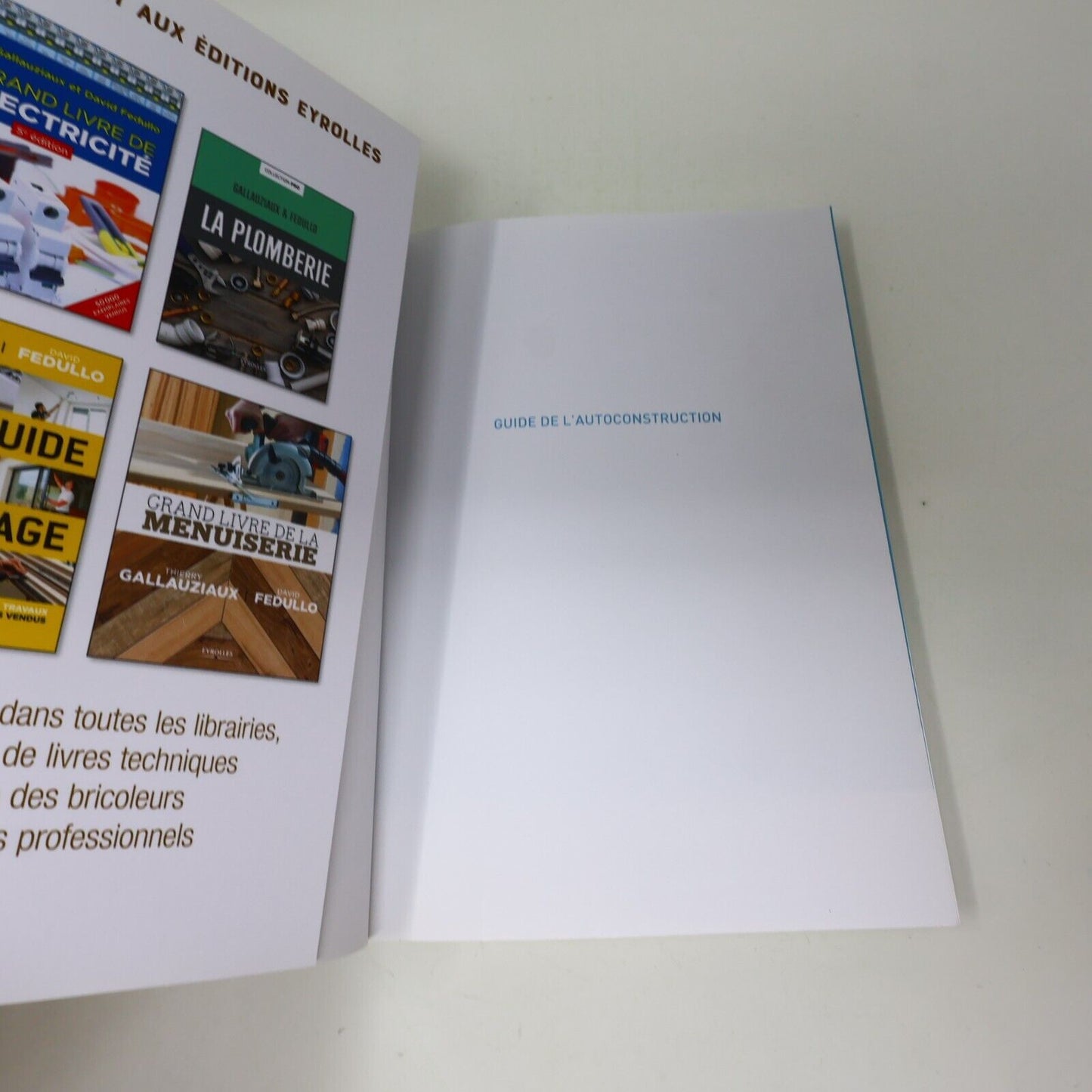2020 Construction Maison Guide de l'Autoconstruction Sylvia Dorance Eyrolles PB
