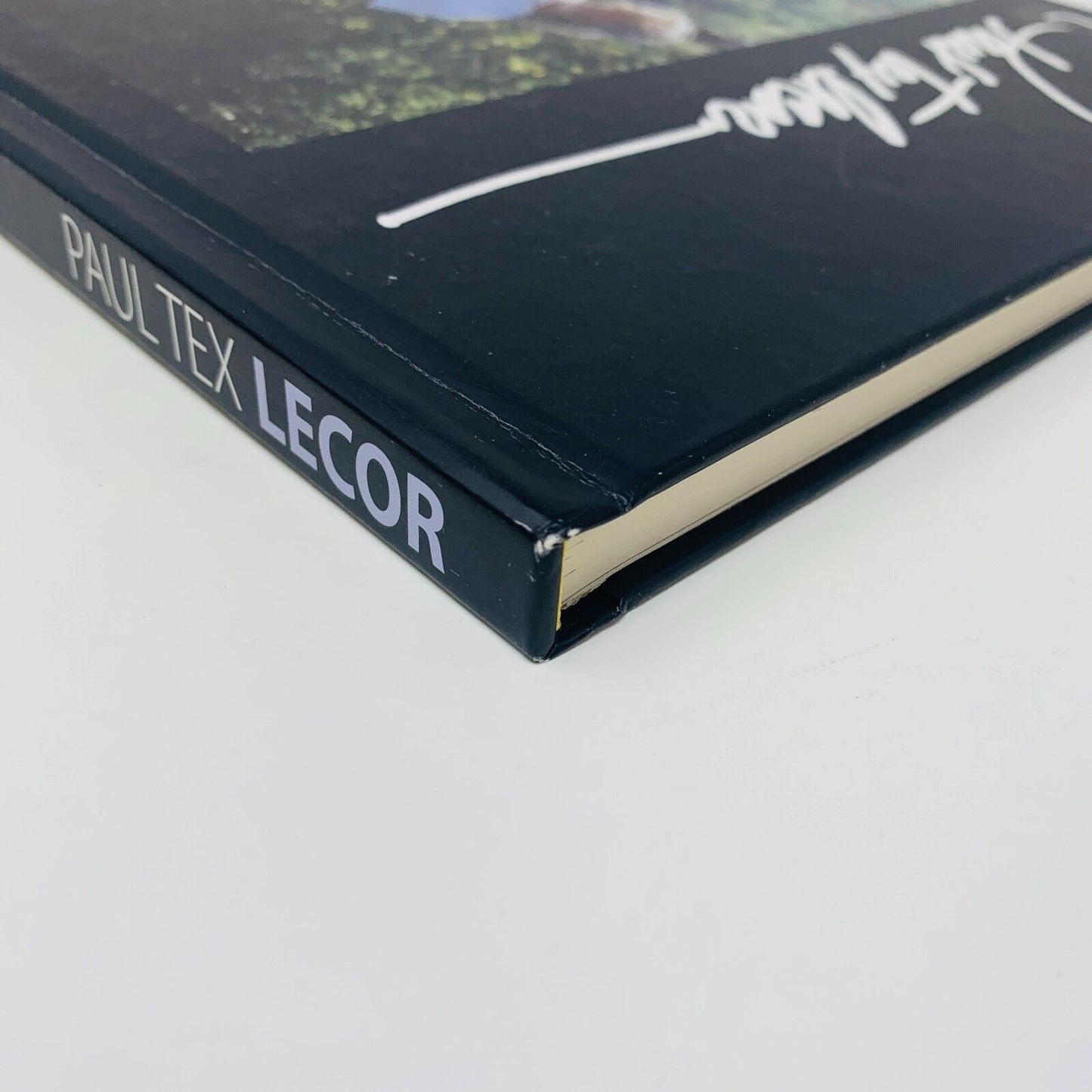 2013 Paul Tex Lecor Mon Monde Pour Vous Français/Anglais Livre sur Peintures Art