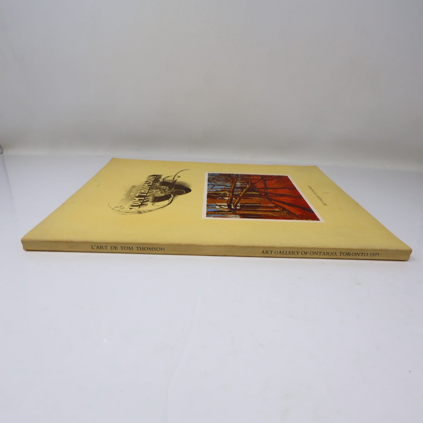 L'Art de Tom Thomson Art Gallery of Toronto 1972 Catalogue d'Exposition Français