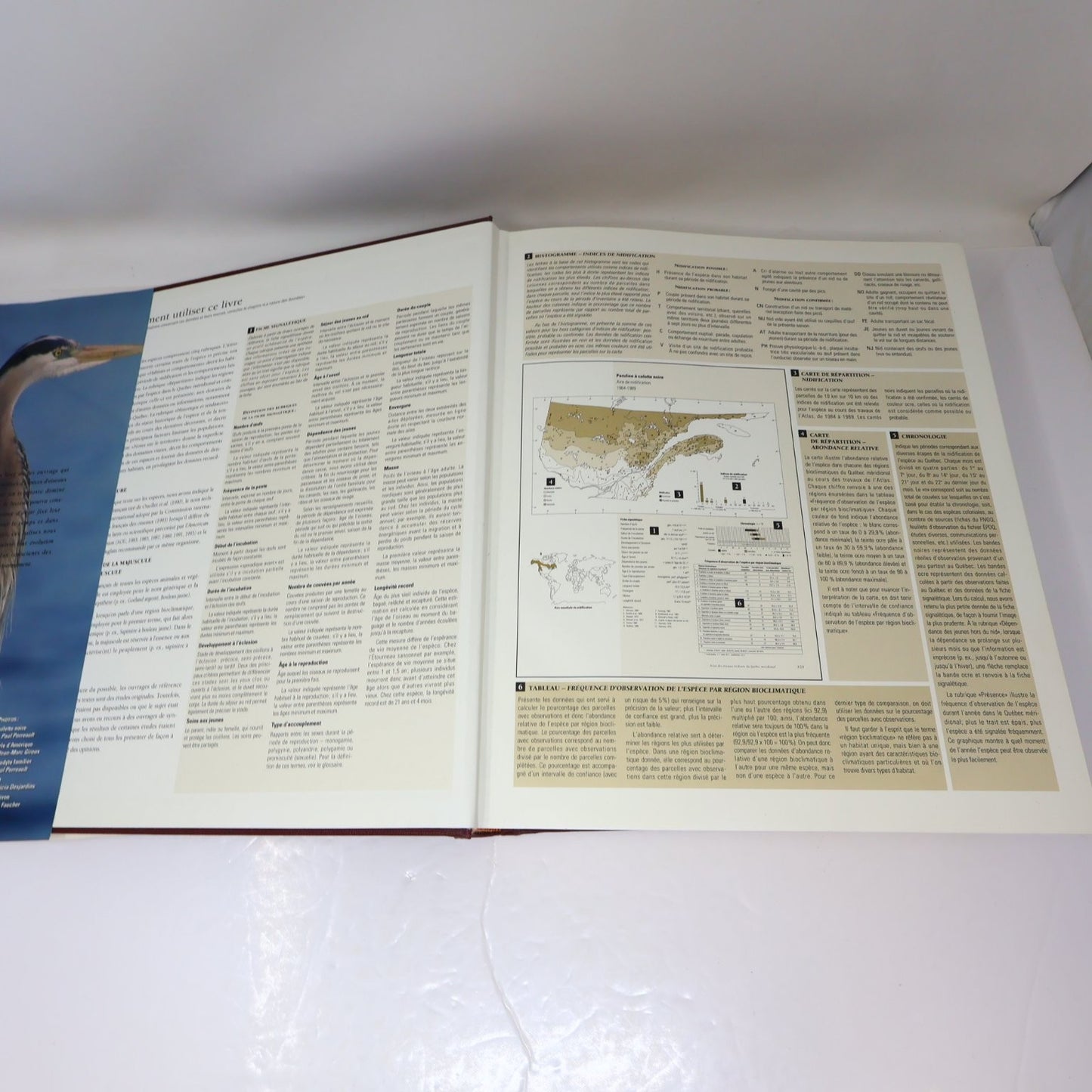 Les Oiseaux Nicheurs du Québec Jean Gauthier 1995 Atlas Illustré Faune Birds