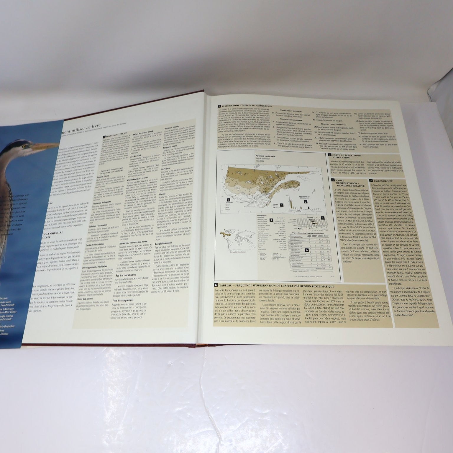 Les Oiseaux Nicheurs du Québec Jean Gauthier 1995 Atlas Illustré Faune Birds