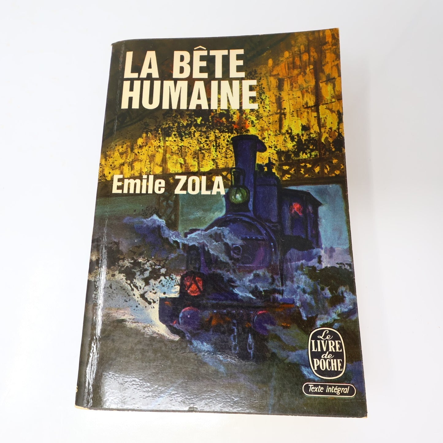 Émile Zola Lot 2 Livres Poche La Joie de Vivre/Bête Humaine Roman France French