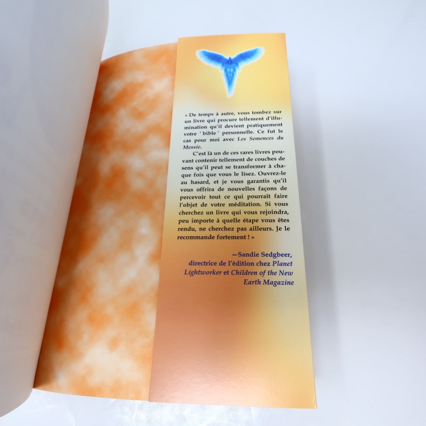 Les Semences du Messie Volume 1 Story Waters Livre 2005 Spiritualité Esprit AdA