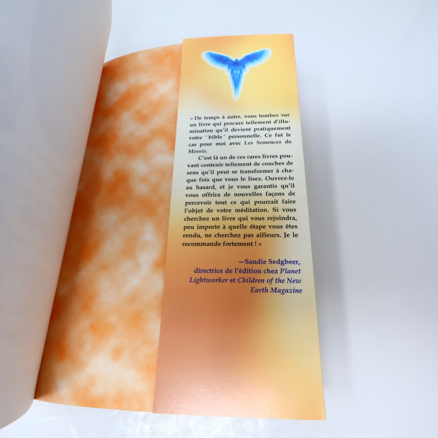 Les Semences du Messie Volume 1 Story Waters Livre 2005 Spiritualité Esprit AdA