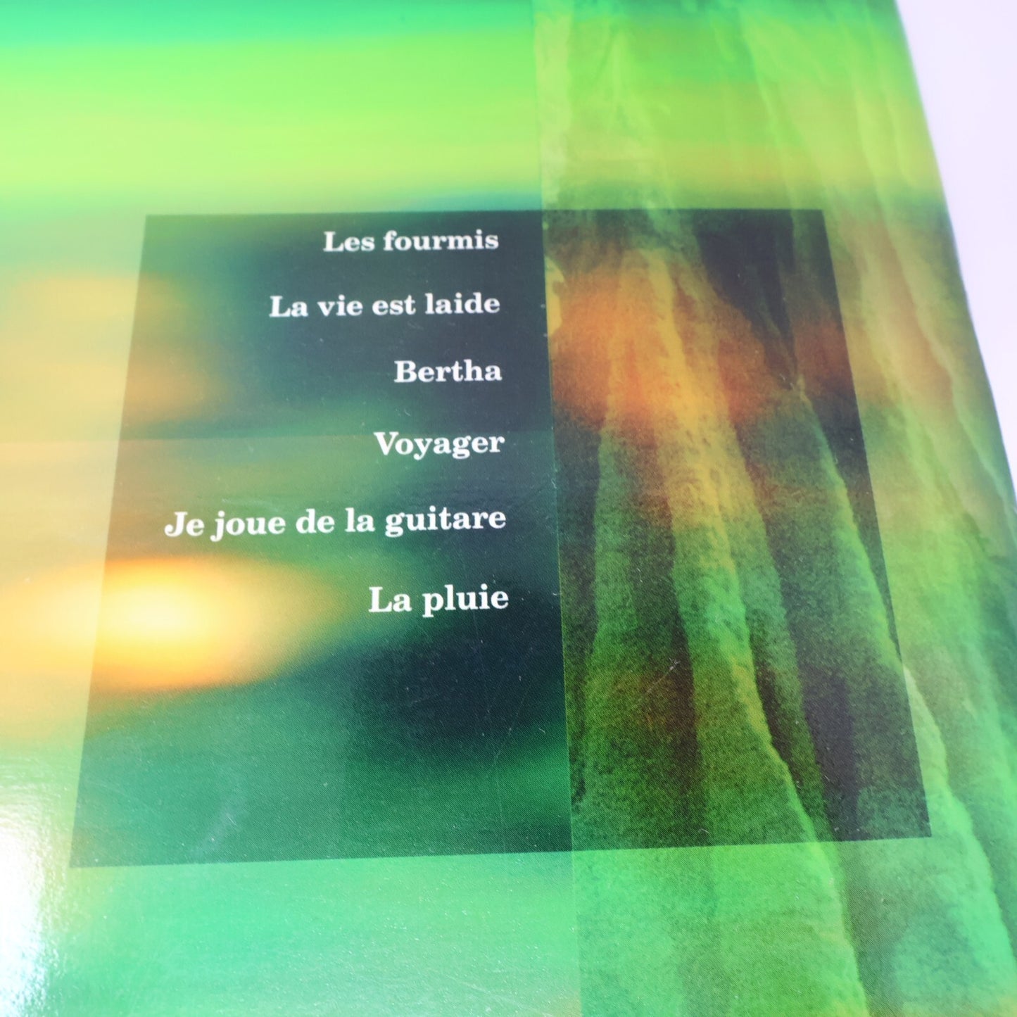 Jean Leloup Les Fourmis Extraits Partitions Songbook La Vie est Laide/Bertha