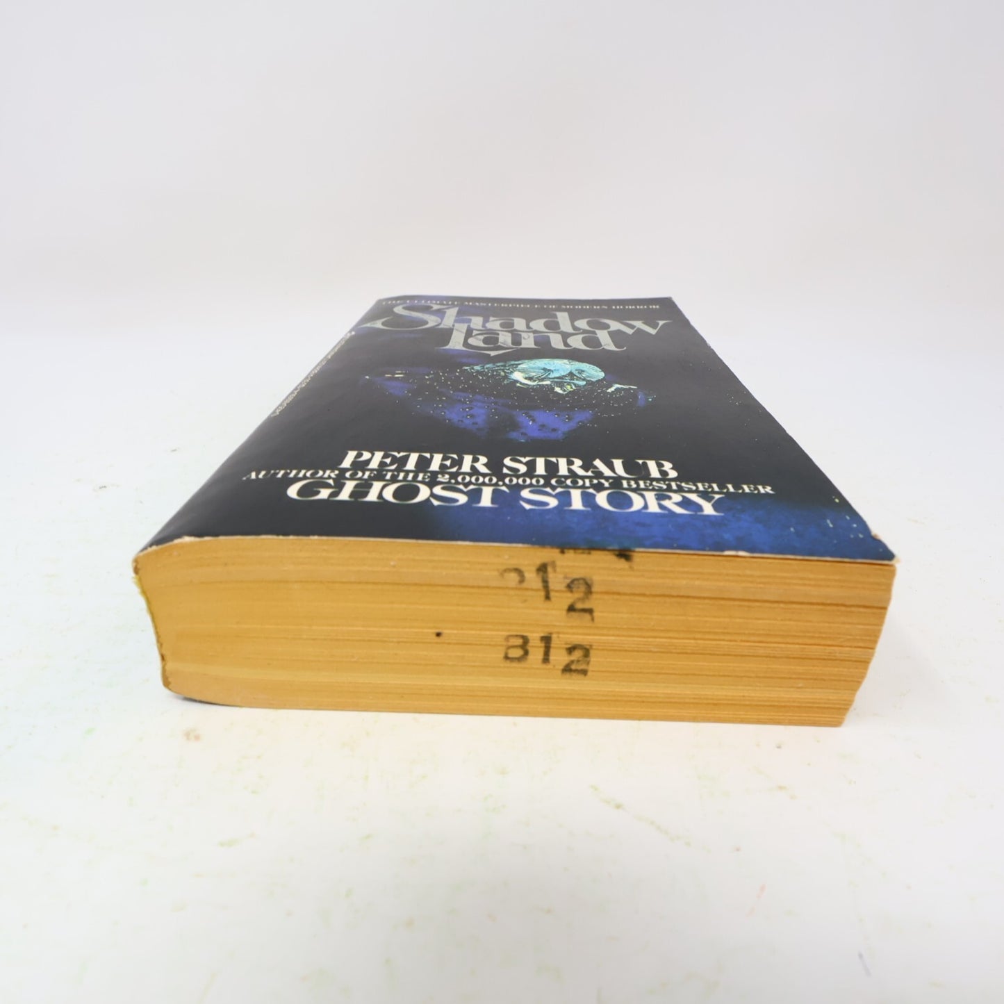 1981 Shadowland Peter Straub Berkley Horror Paperback Book 80s PB