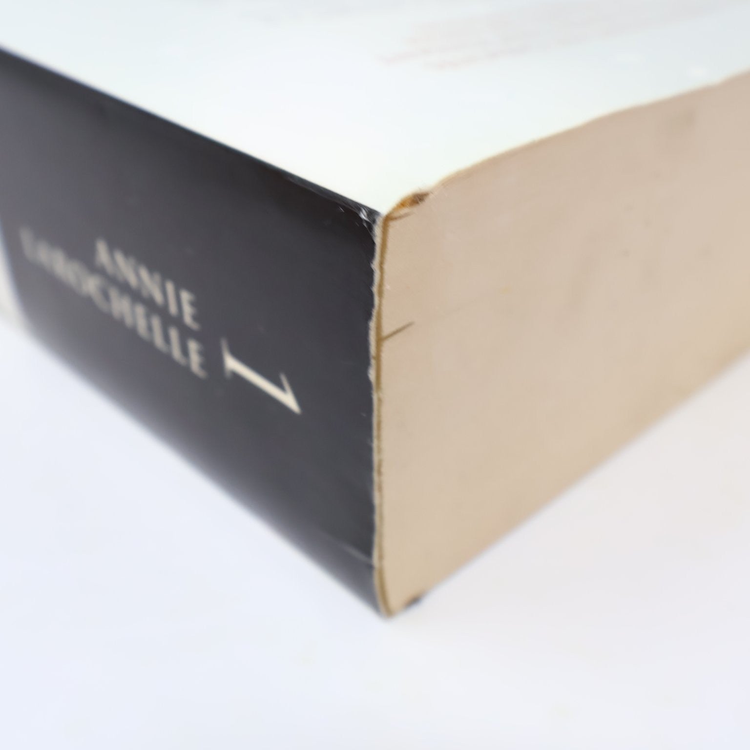 Emprise Le Châtiment des Anges Tome 1 L'Intégrale Annie Larochelle 2018 Français