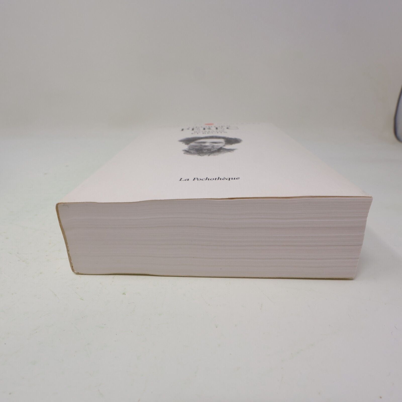 Georges Perec Romans et Récits Classiques Modernes La Pochotèque 2002 Poche Book