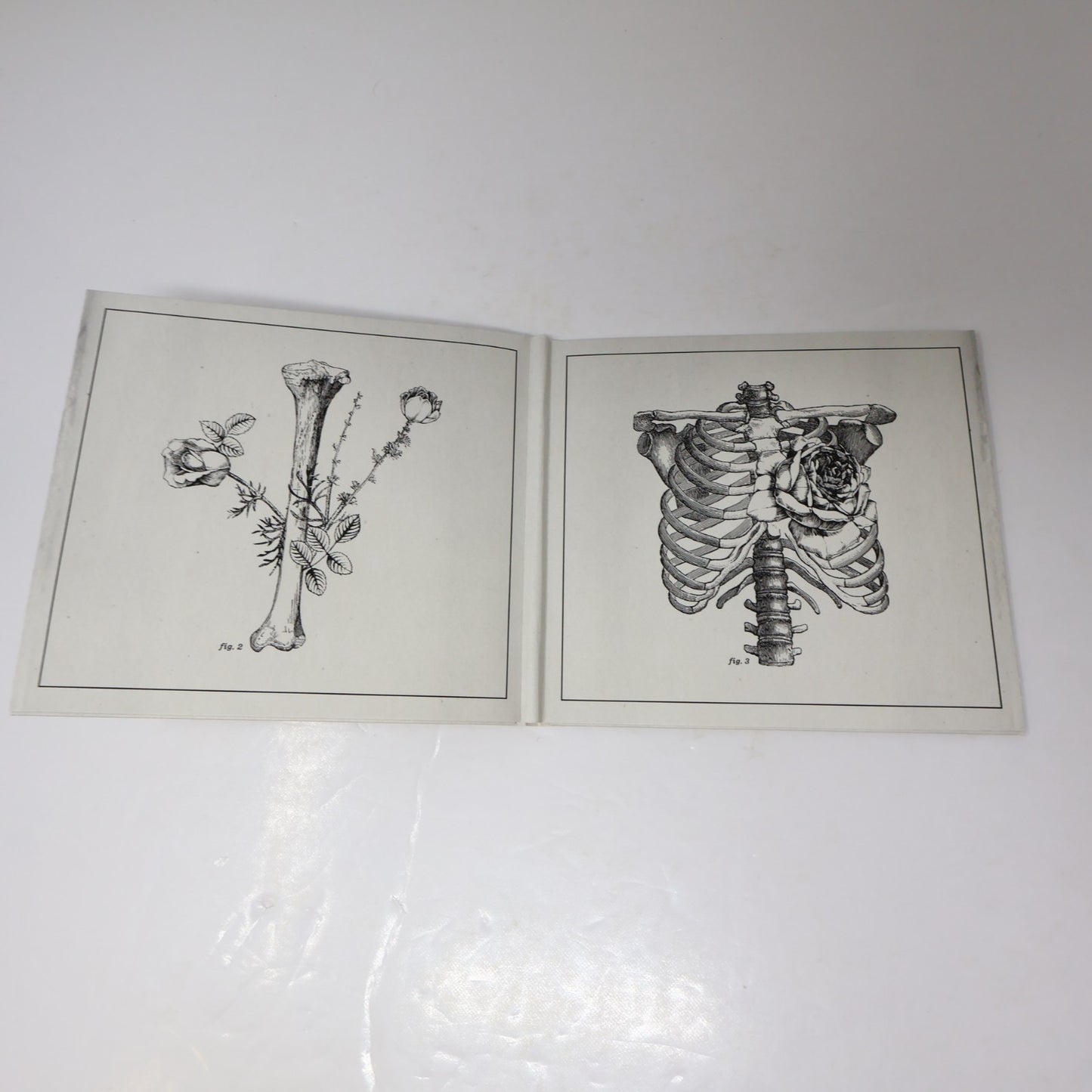 Cœur De Pirate Trauma CD Chansons de le Série Télé 2013 Dare To Care Records