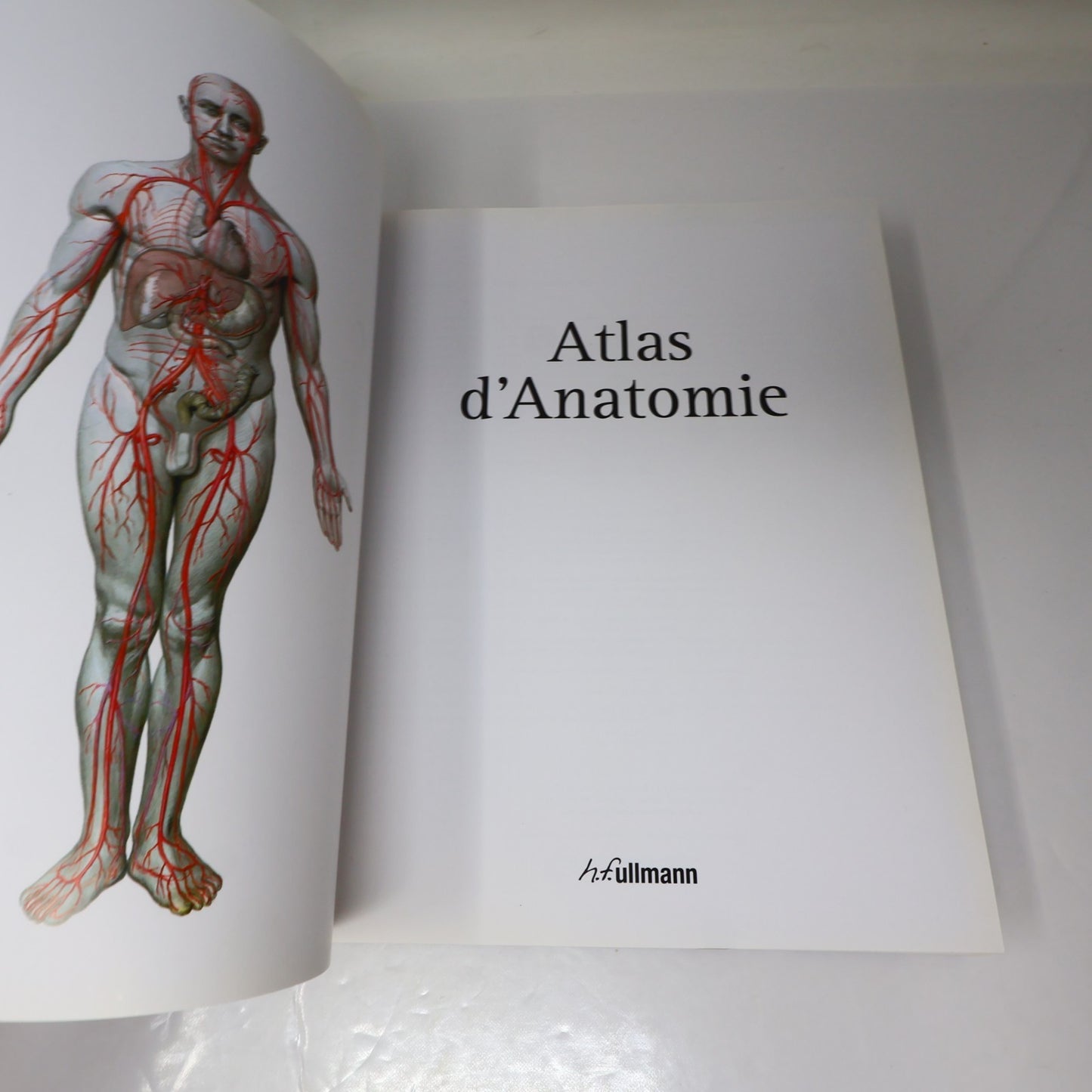 Atlas d'Anatomie Sobotta Ullman 2010 HC Français/French 600 Illustrations Livre