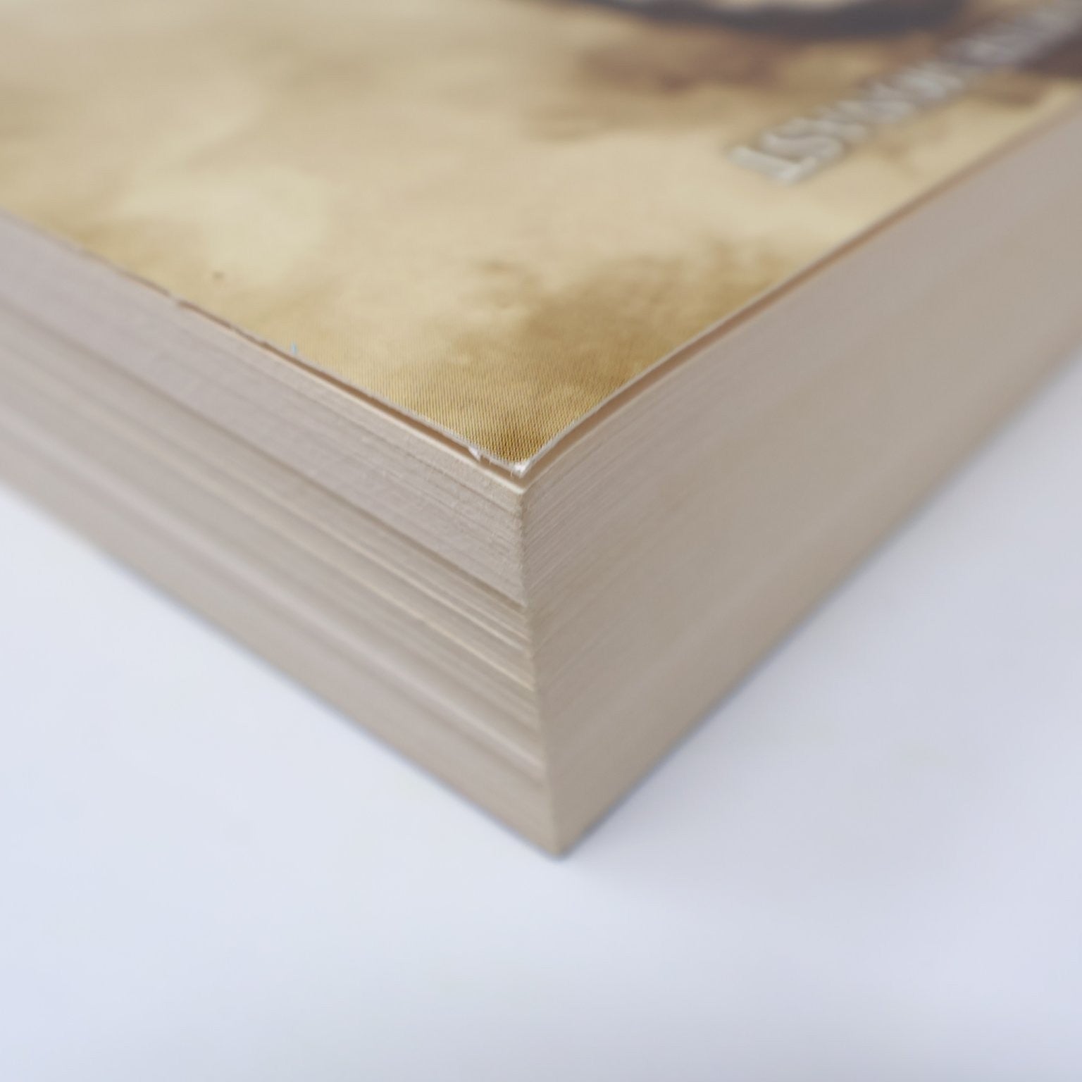 La Bolduc Marie Louise Monast 2018 Roman Historique Les Éditeurs Réunis