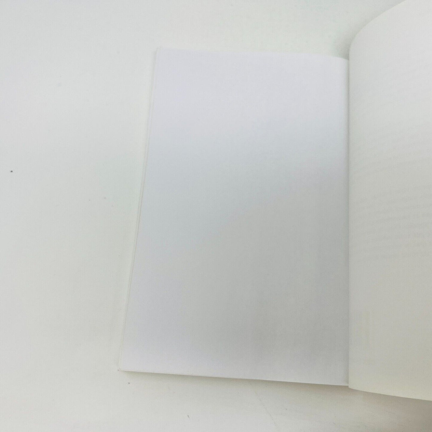 2003 Ramtha Le Livre Blanc Ada en Français/French Supernaturalisme Mysticisme