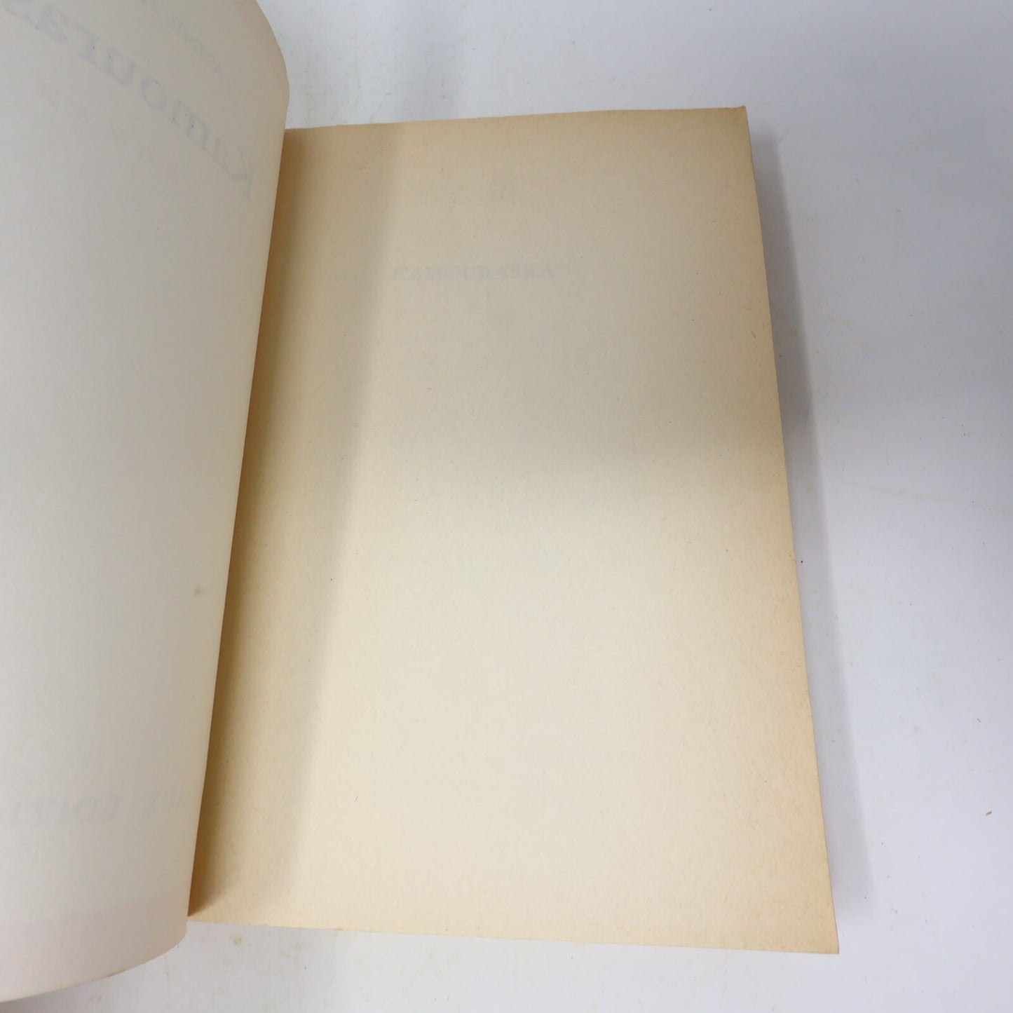 Anne Hébert Lot 2 Livres Kamouraska/Les Enfants du Sabbat Littérature Québécoise