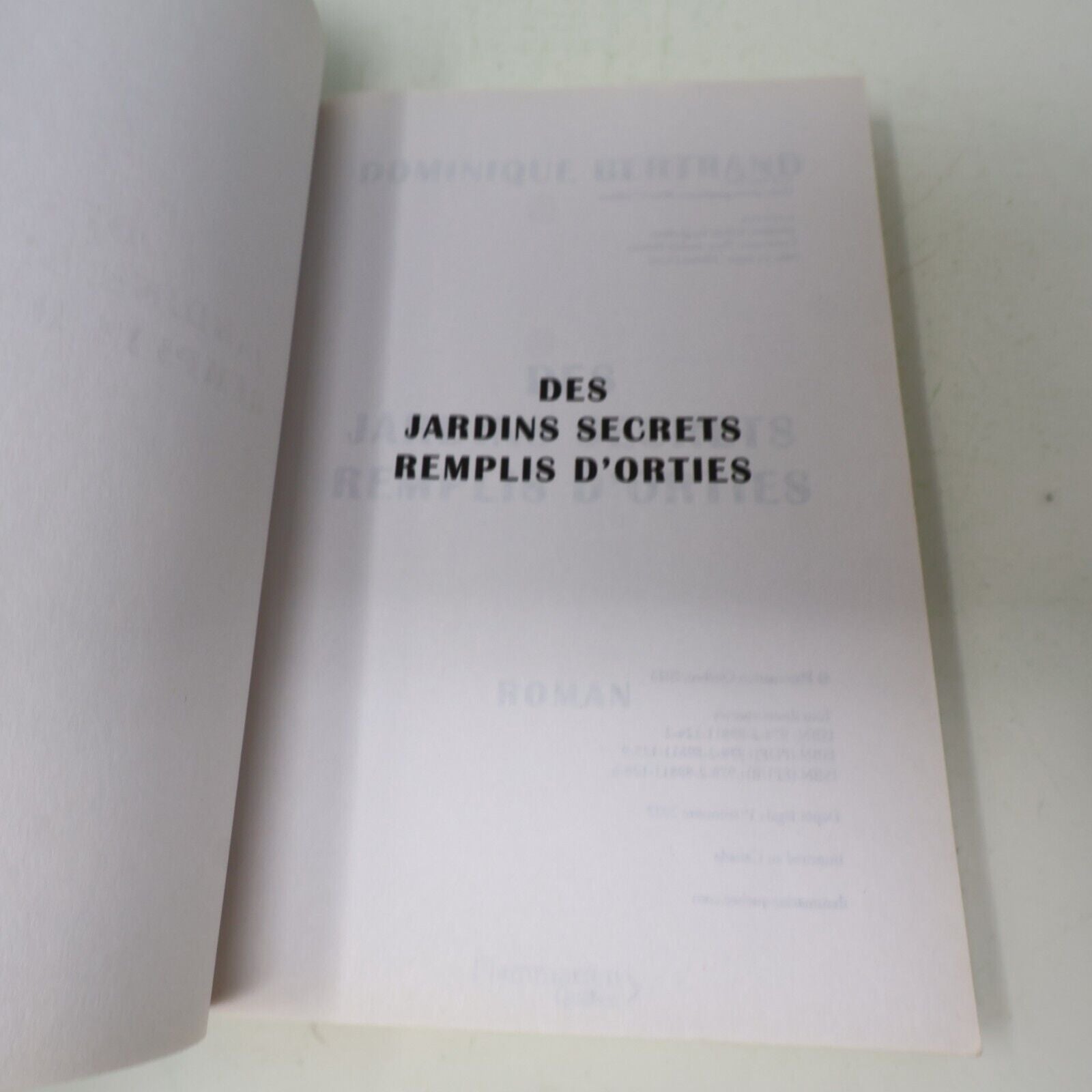 2023 Des Jardins Secrets Remplis d'Orties Roman Dominique Bertrand Flammarion PB