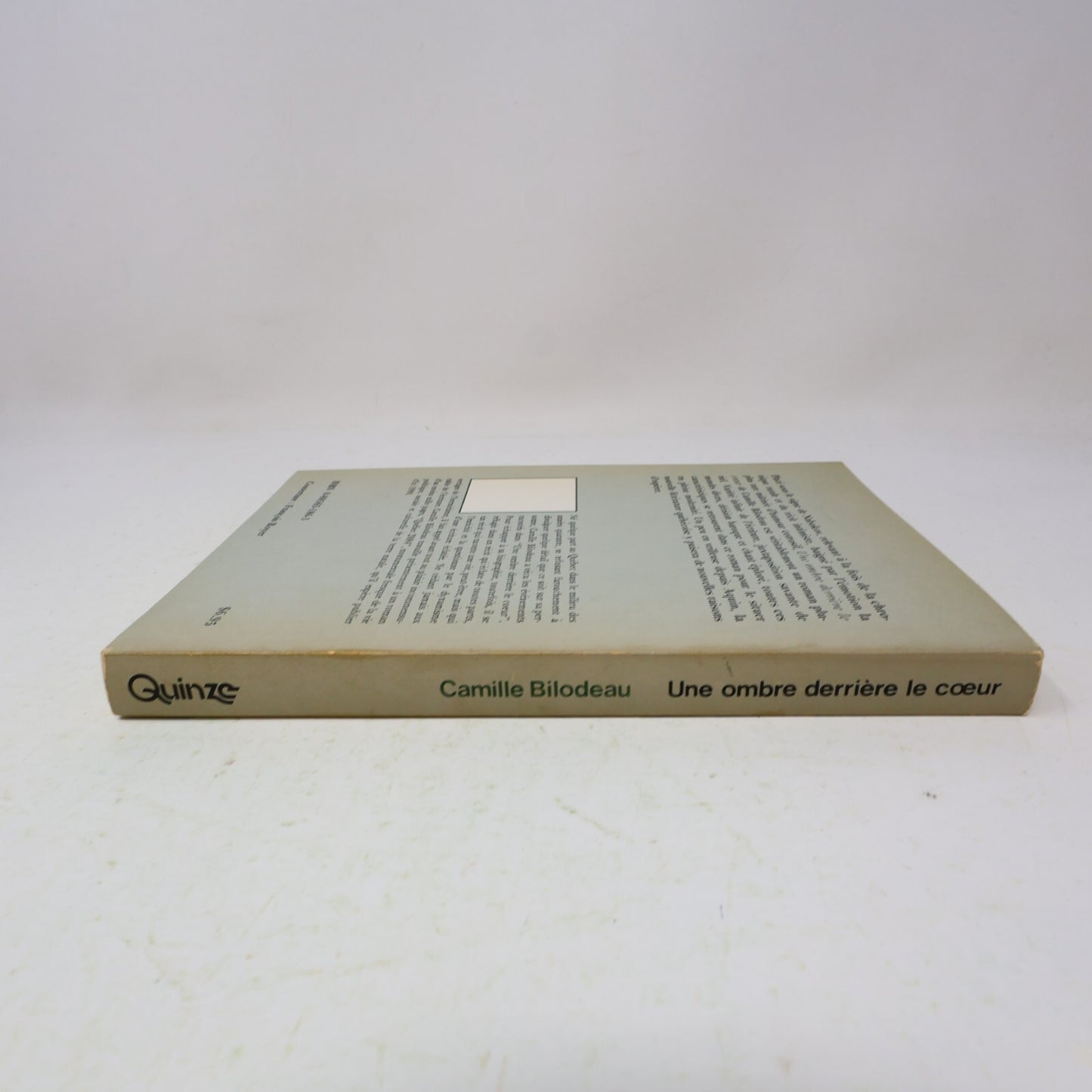 1979 Une Ombre Derrière le Cœur Roman-Pluriel Camille Bilodeau Contre-Culture PB
