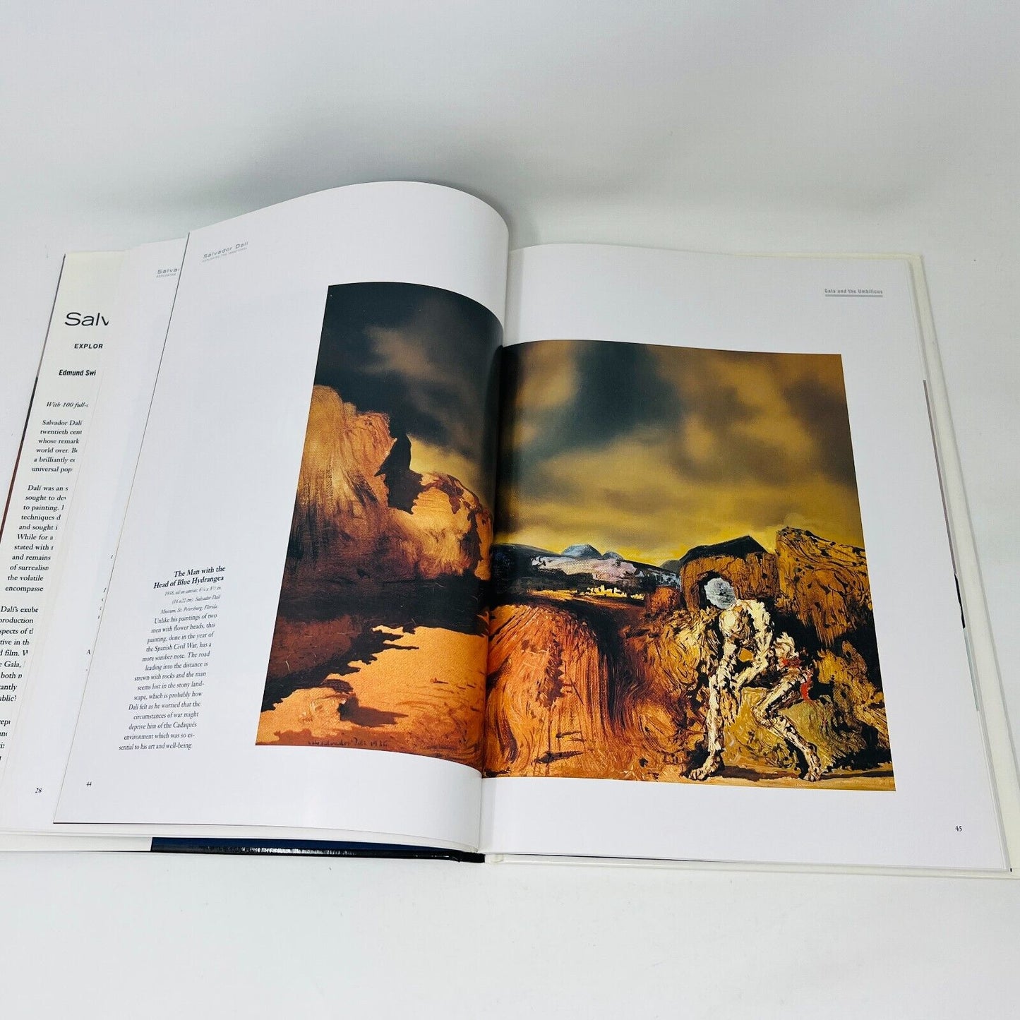 1996 Salvador Dali Exploring the Irrational by Edmund Swinglehurst Art Artist HC