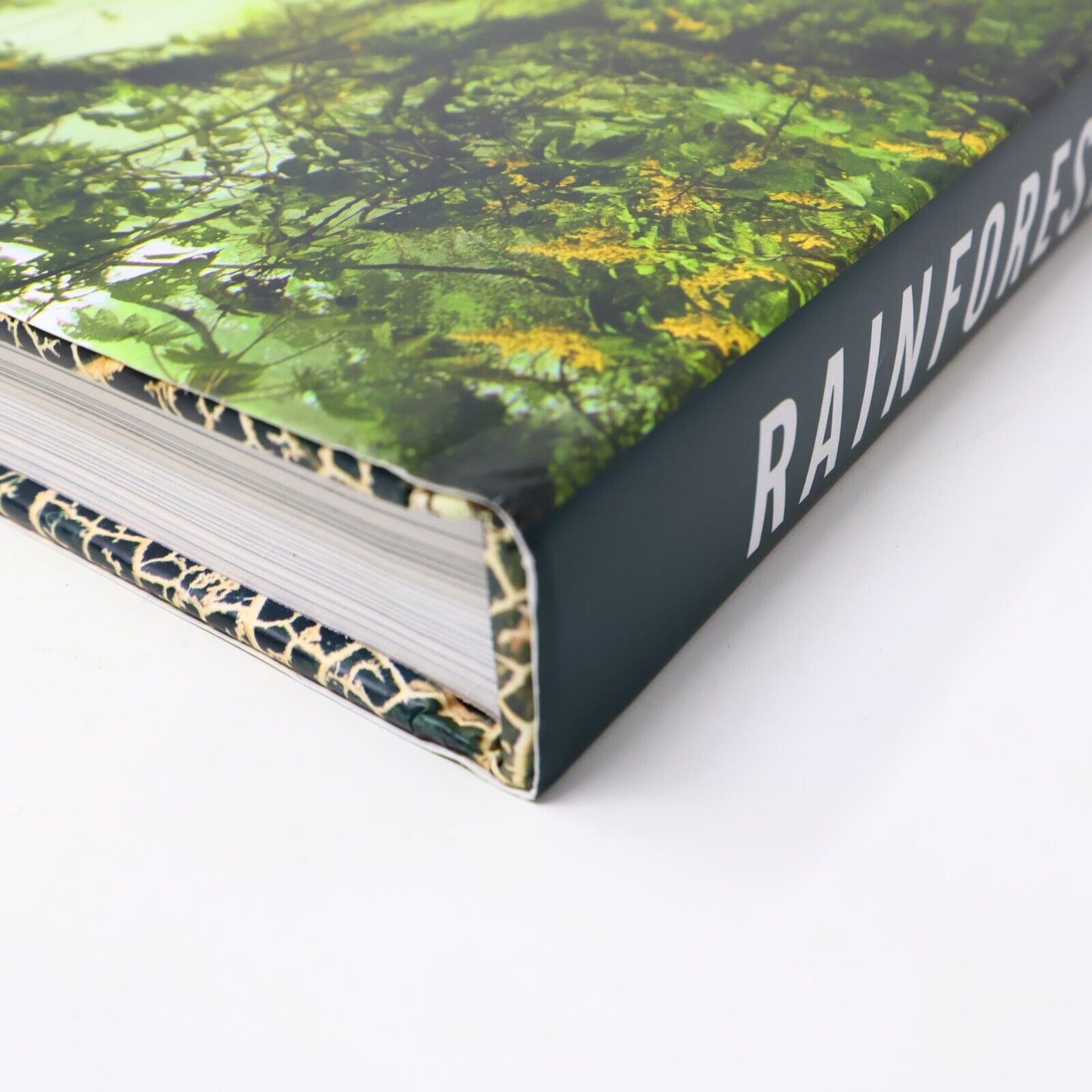 2014 Rainforest by Lewis Blackwell Nature Photos Harry N. Abrams Book Hardcover