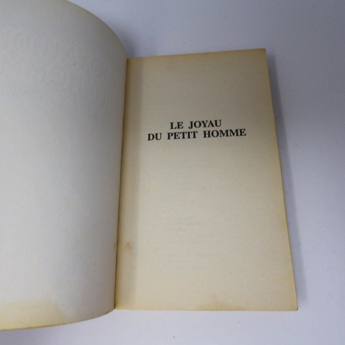 1996 Royaumes Oubliés #17 Le Joyau du Petit Homme La Trilogie du Val Bise Livre
