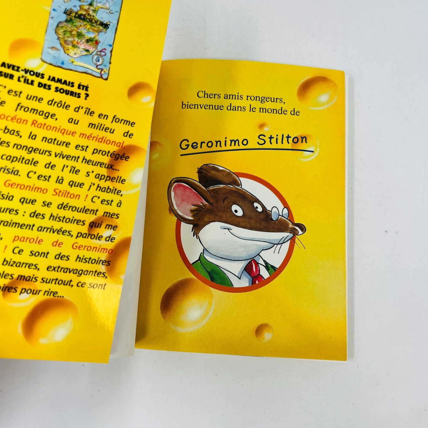 Tea/Geronimo Stilton Lot 13 Livres Enfants Français/Kids Children Books French