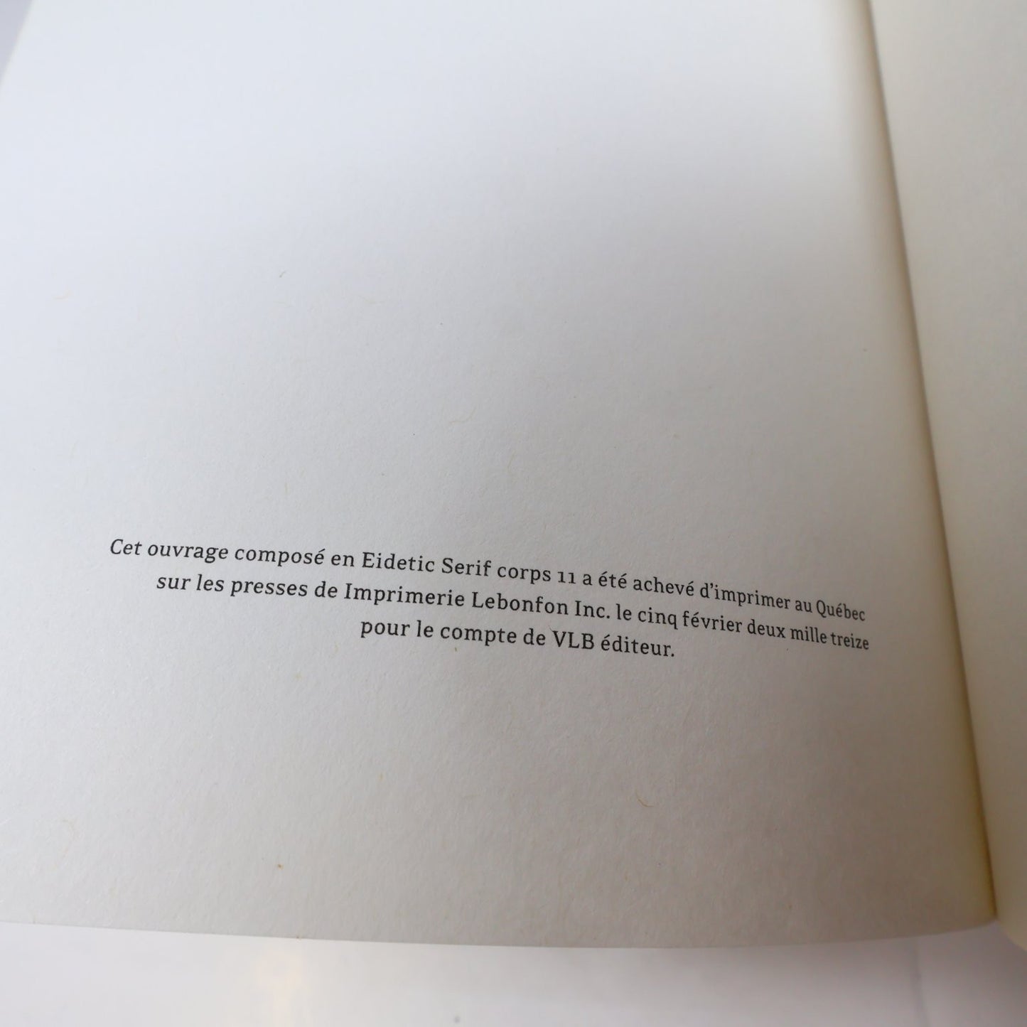 En Terrain Miné Roxanne Bouchard/Patrick Kègle Livre 2013 Correspondance VLB