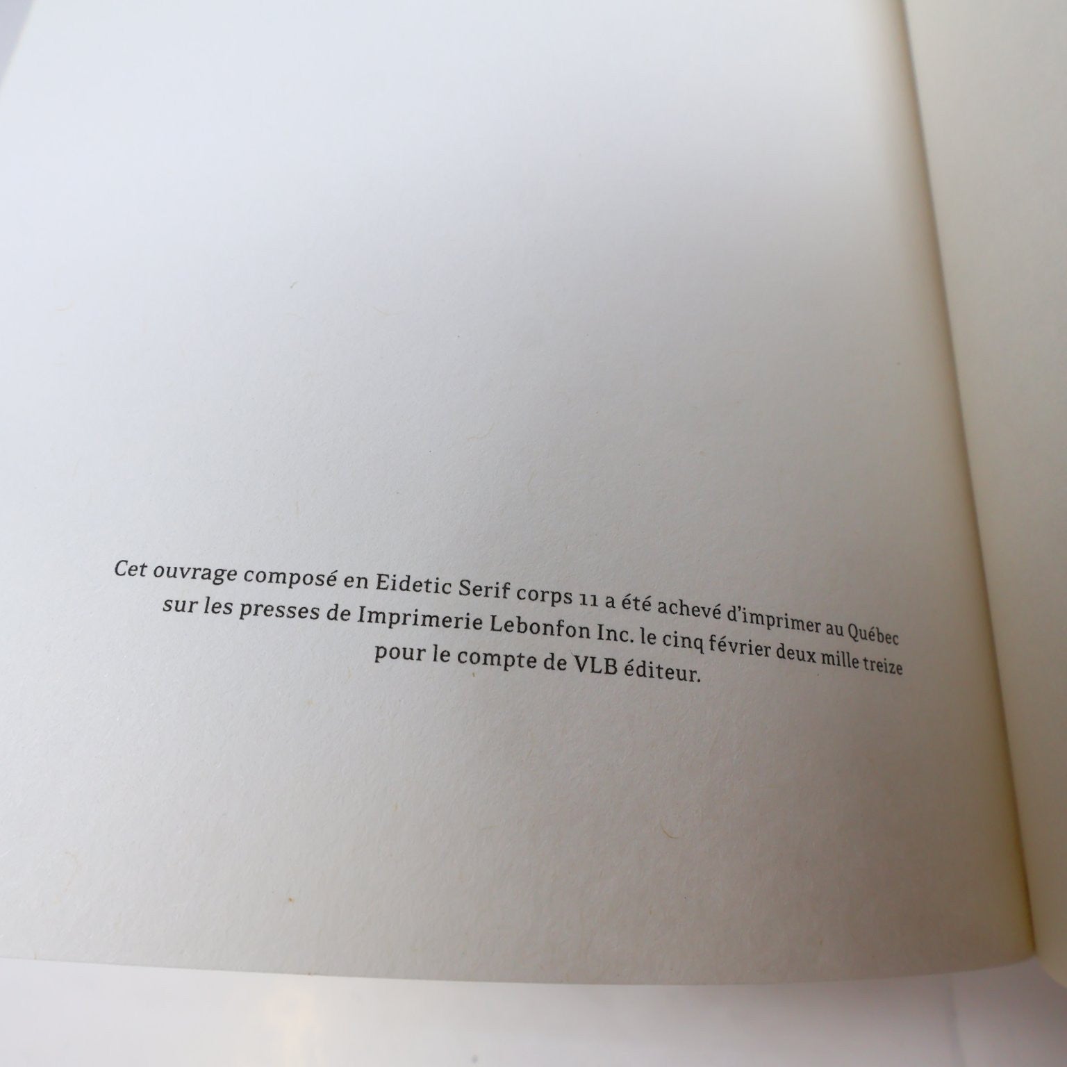 En Terrain Miné Roxanne Bouchard/Patrick Kègle Livre 2013 Correspondance VLB