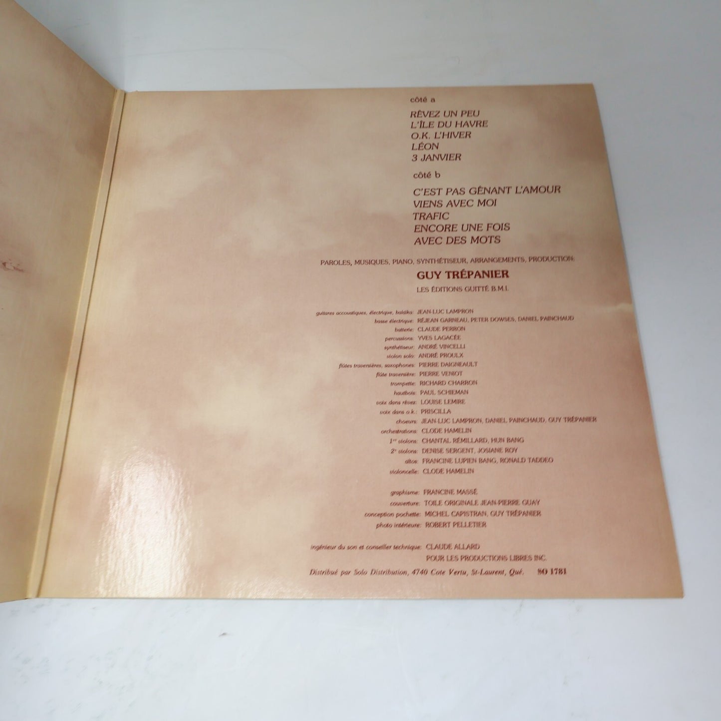 Guy Trépanier Lot 2 Disques LP Fragile L'hiver/Pour Un Gars Heureux Record Vinyl