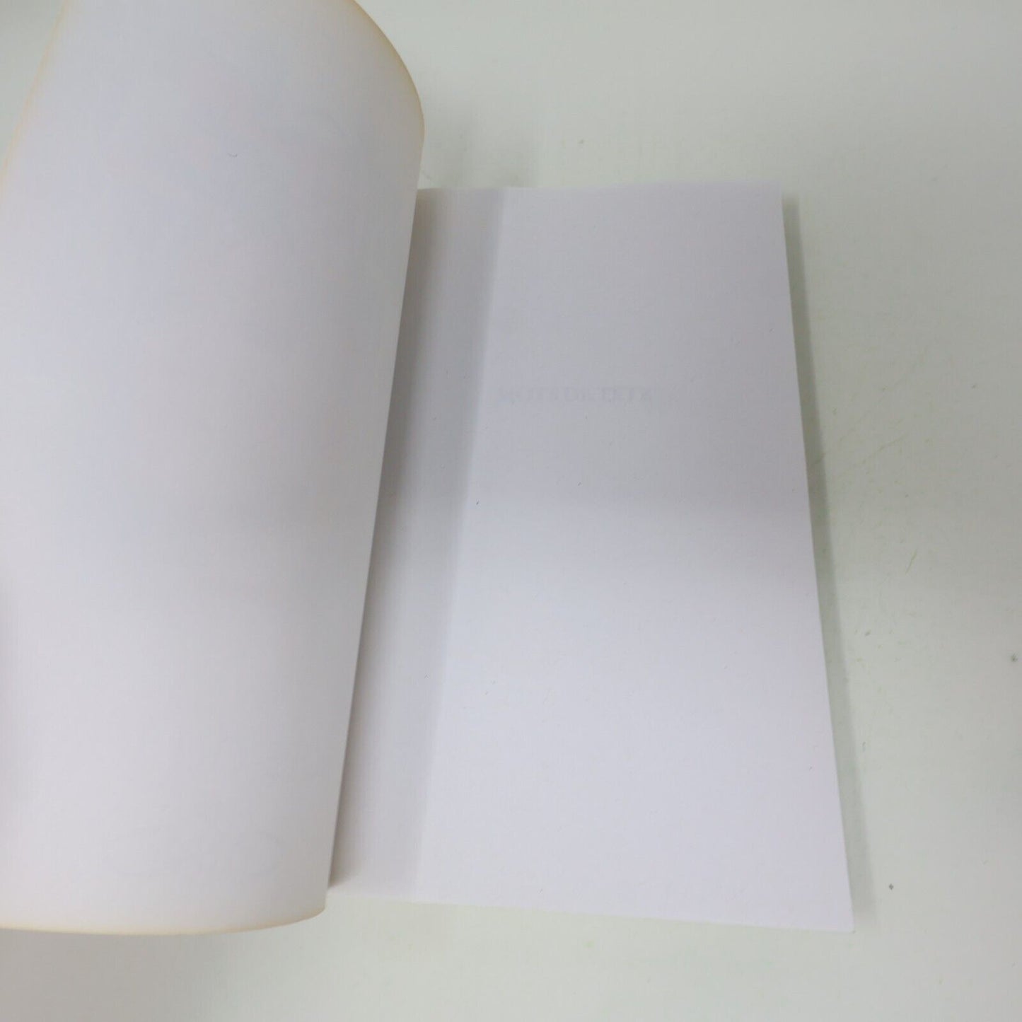 2009 Mots de Tête Diane Dufresne Biographie Musique Chanson Michel Lafon Livre