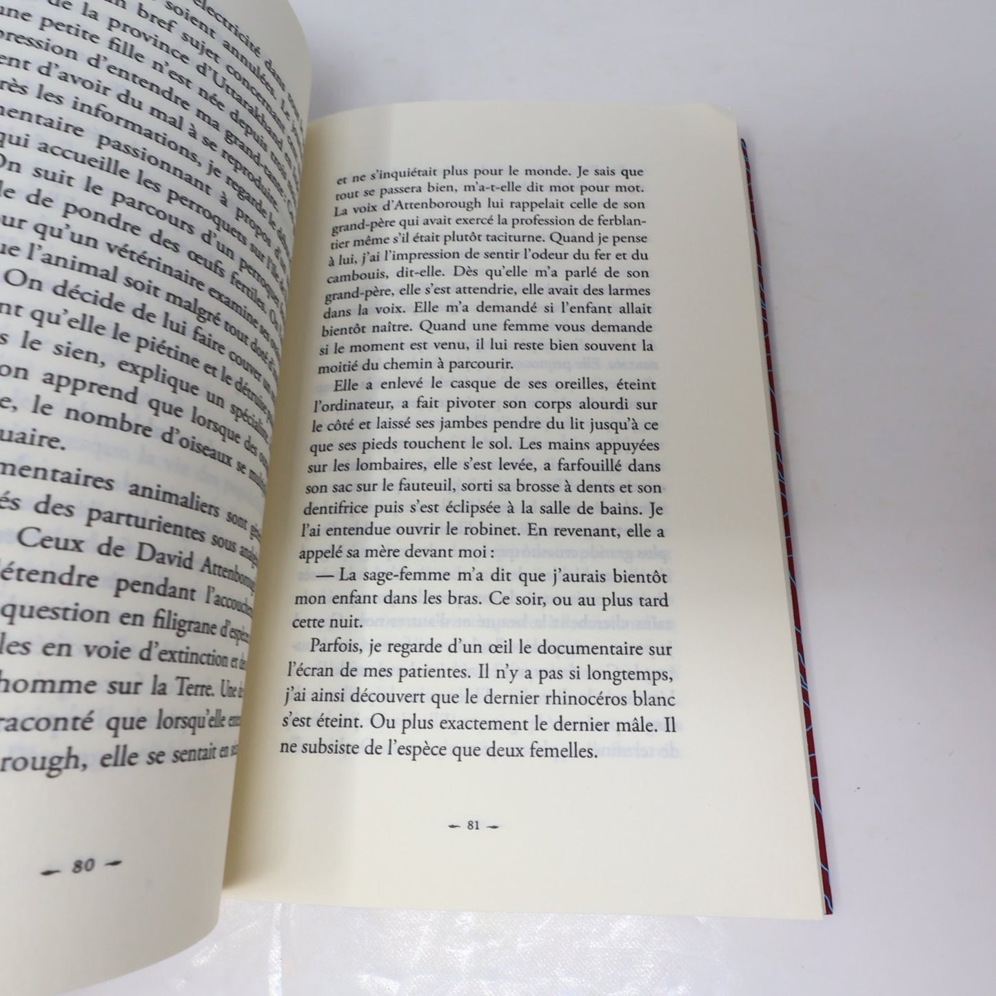 La vérité sur la lumière Audur Ava Ólafsdóttir 2021 Français/French Edition
