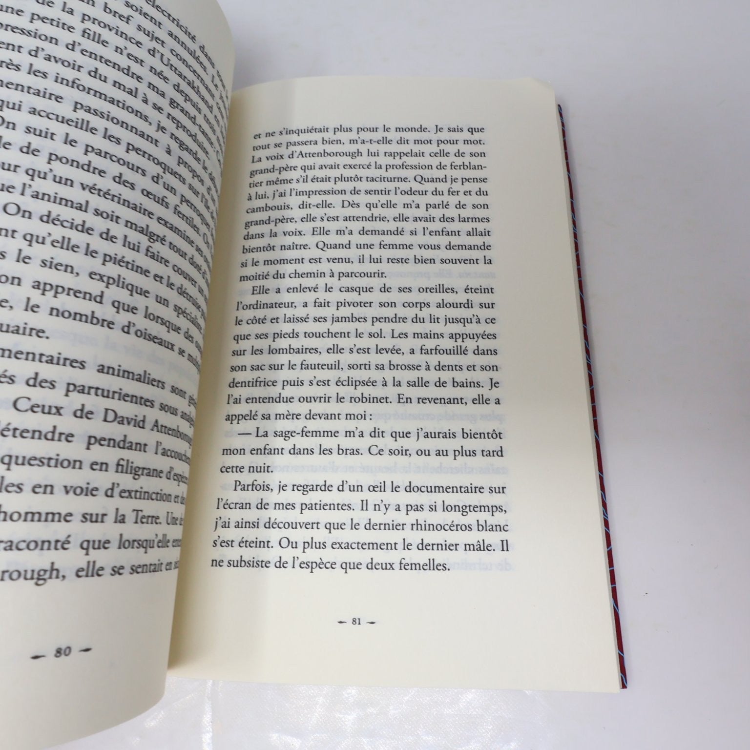 La vérité sur la lumière Audur Ava Ólafsdóttir 2021 Français/French Edition
