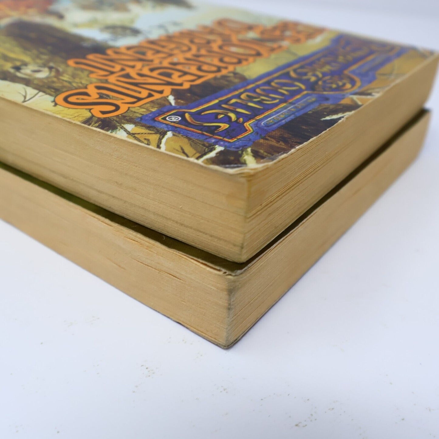 Lot 2 Livres Royaumes Oubliés #16-17 La Trilogie du Val Bise Fantasy Français PB