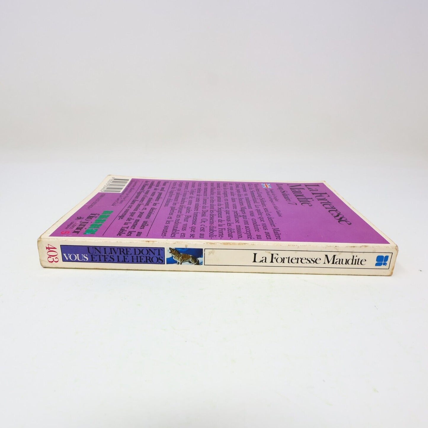 1987 La Forteresse Maudite Loup Solitaire #7 de Joe Dever Gary Chalk LDVELH PB
