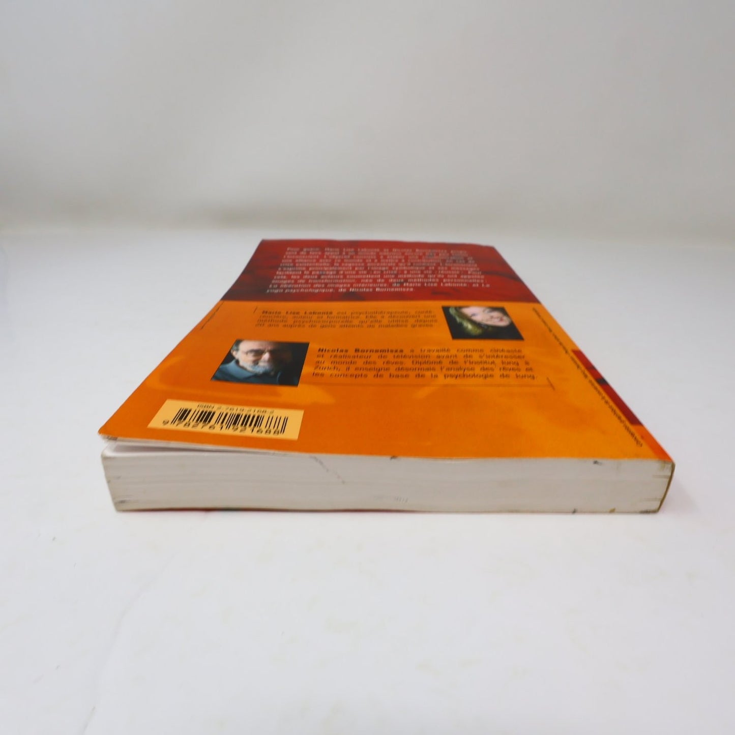Guérir grâce à nos images intérieures Labonté/Bornemisza 2006 Psychologie PB
