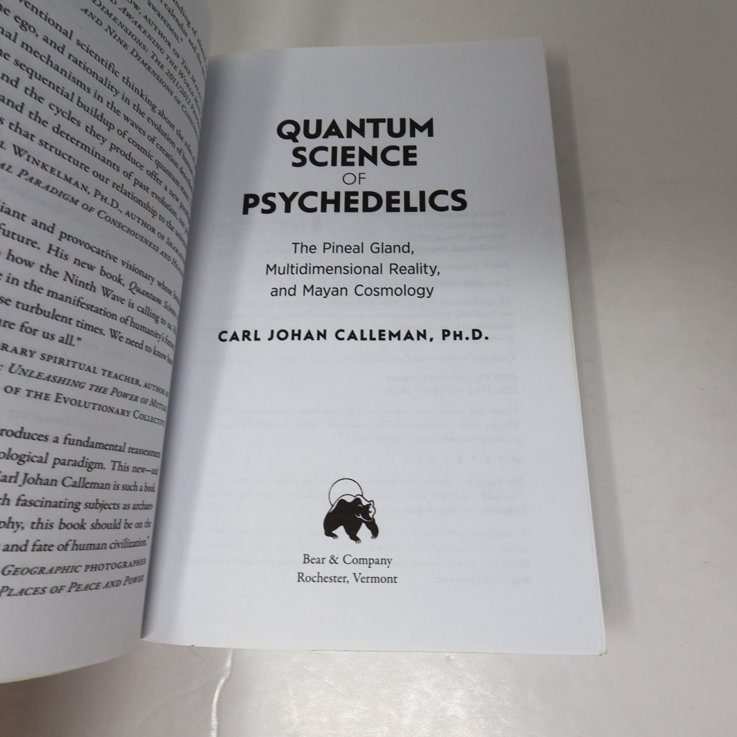 Quantum Science of Psychedelics Carl Johan Calleman Bear & Co 2020 PB 1st Print