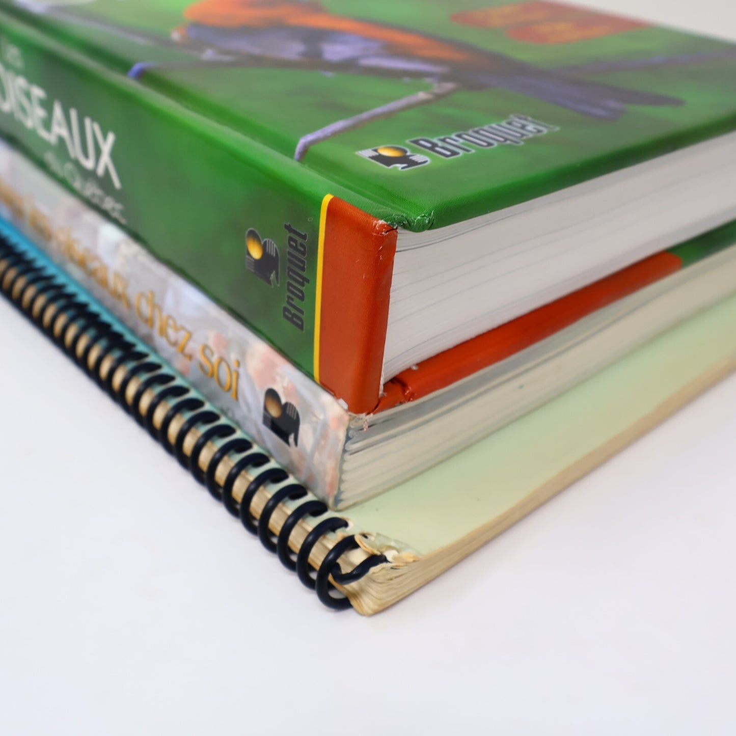 Suzanne Brûlotte Lot 3 Livres Les Oiseaux du Québec Guide d'Identification Books