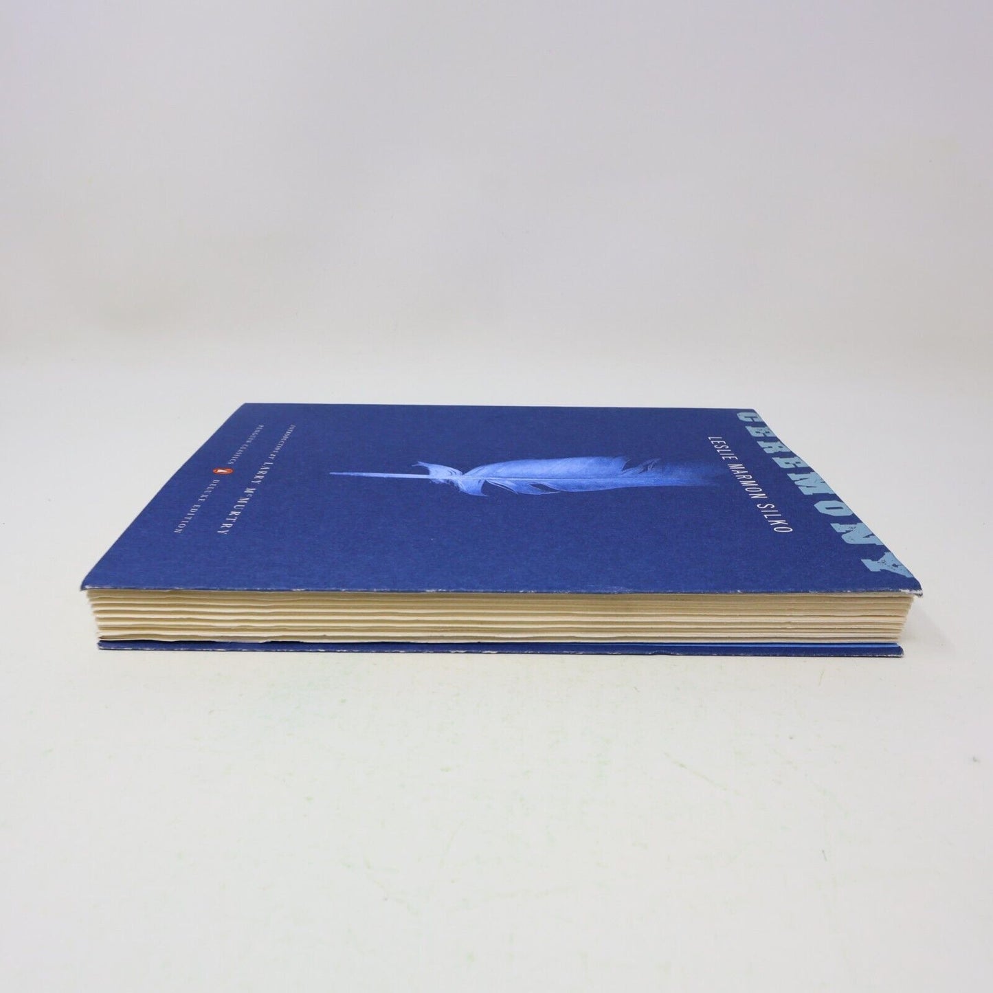 2006 Ceremony Leslie Marmon Silko Deluxe Edition Penguin Paperback First Nations