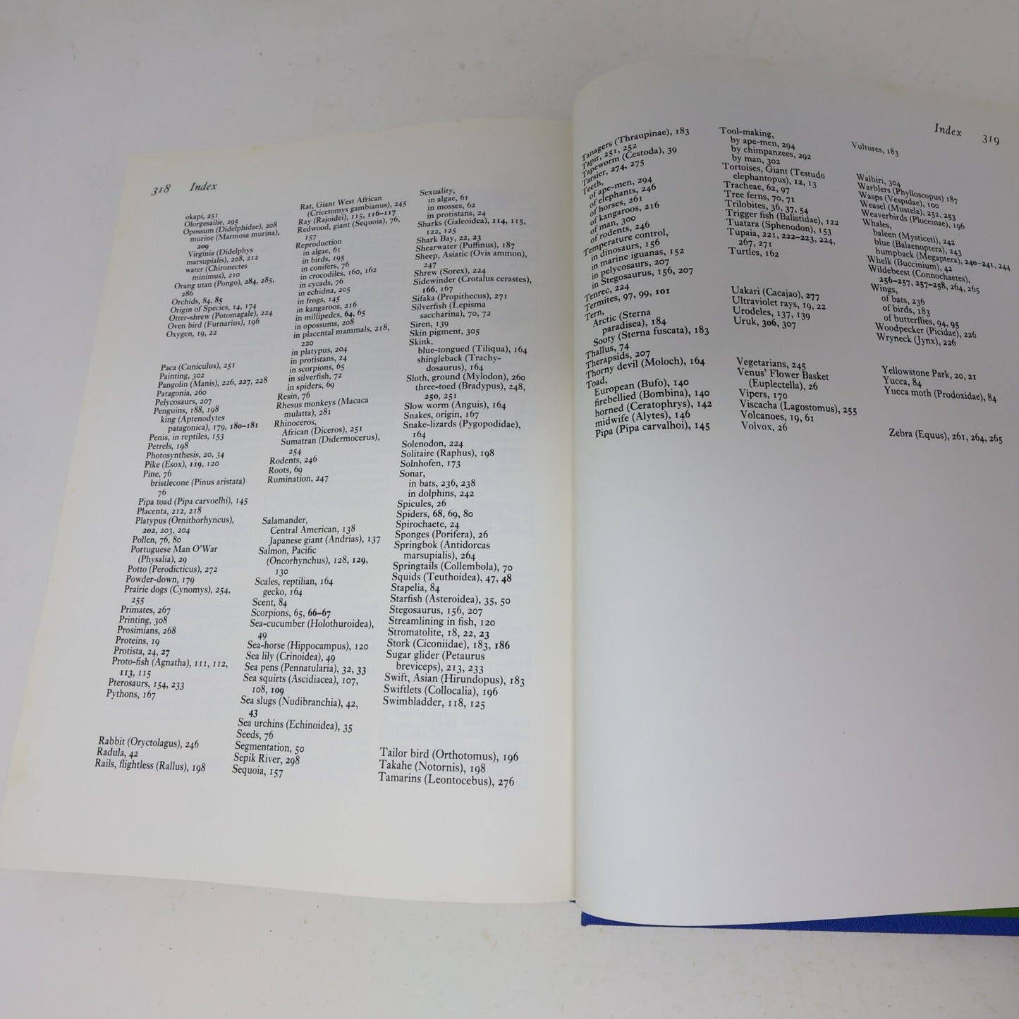 1979 Life on Earth a Natural History David Attenborough Little Brown Nature Book