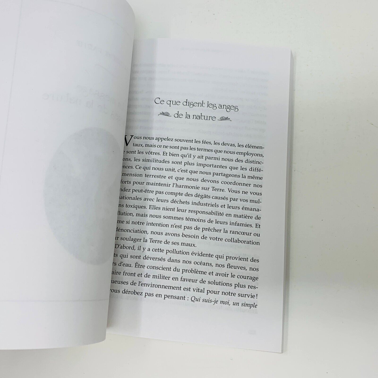 2015 Messages de vos Anges Ada Doreen Virtue Livre en Français Voix du Ciel