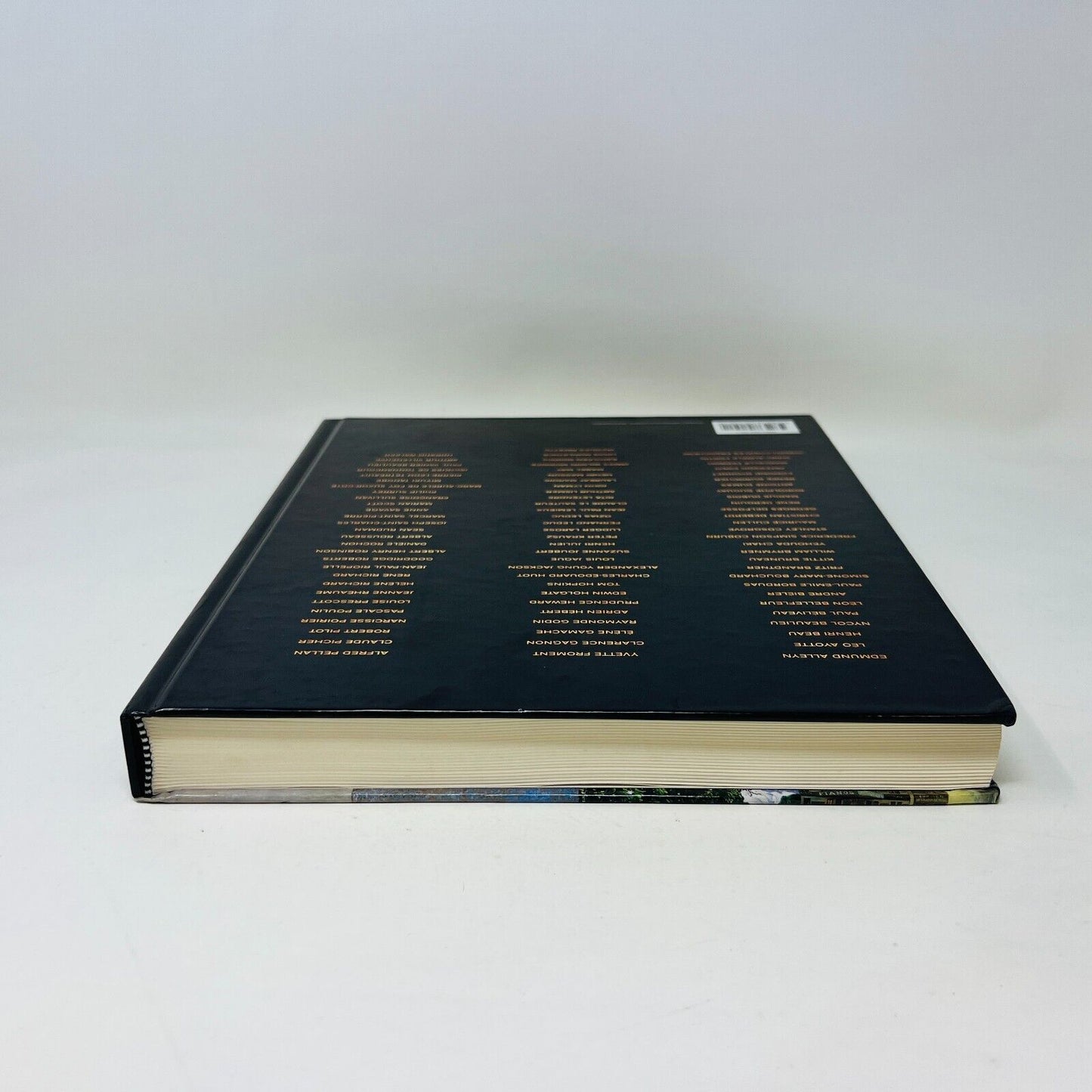1999 Un Siècle de Peinture Au Québec Nature et Paysage Livre Robert Bernier HC