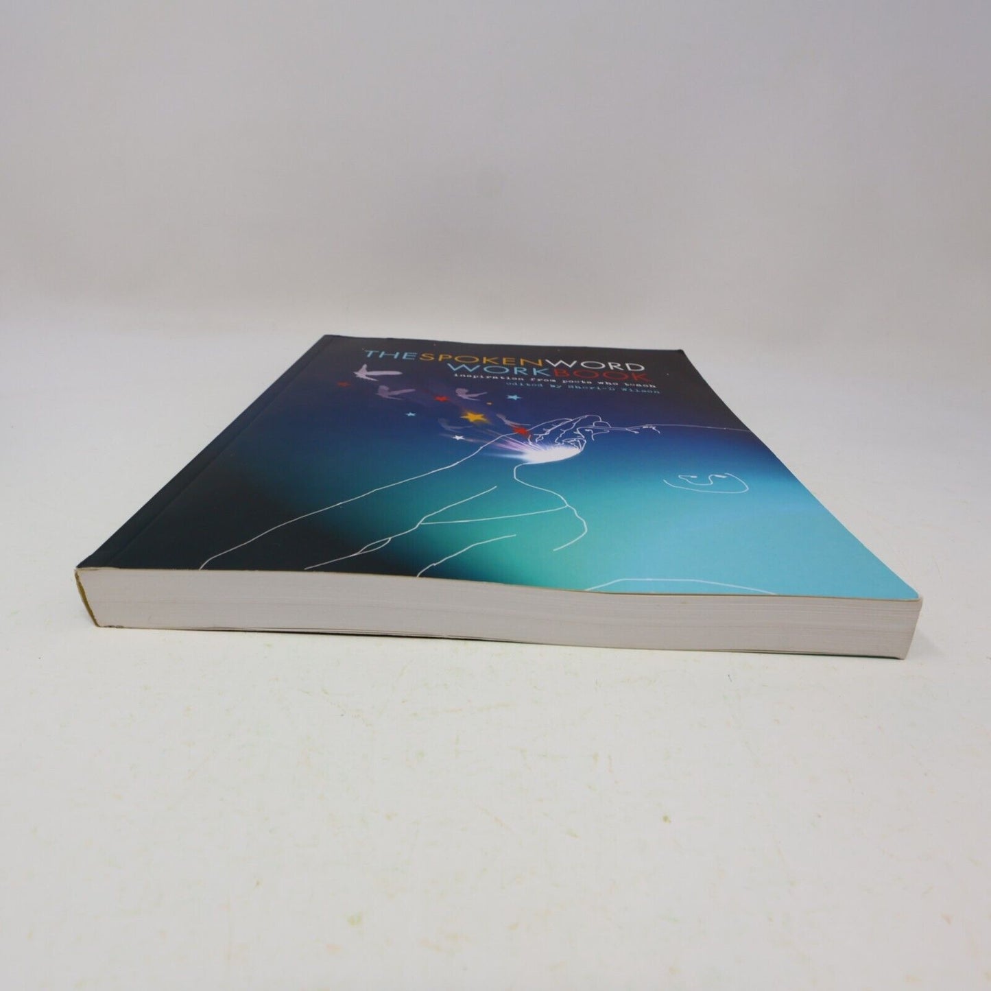 2011 The Spoken Word Workbook Inspiration From Poets Who Teach Sheri-D Wilson PB