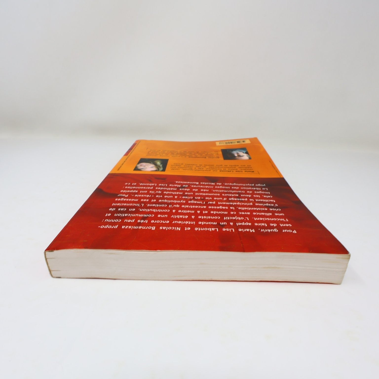 Guérir grâce à nos images intérieures Labonté/Bornemisza 2006 Psychologie PB