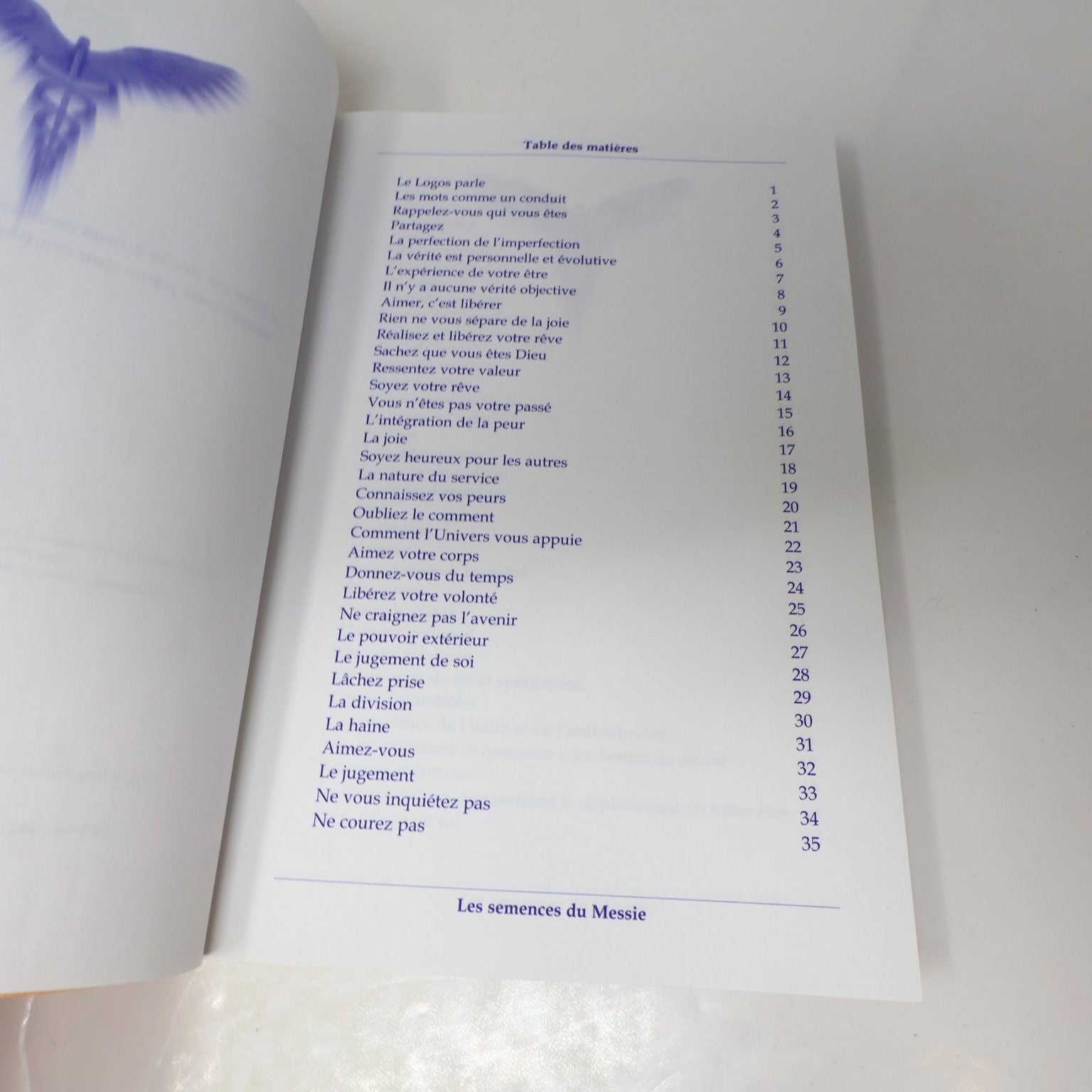 Les Semences du Messie Volume 1 Story Waters Livre 2005 Spiritualité Esprit AdA