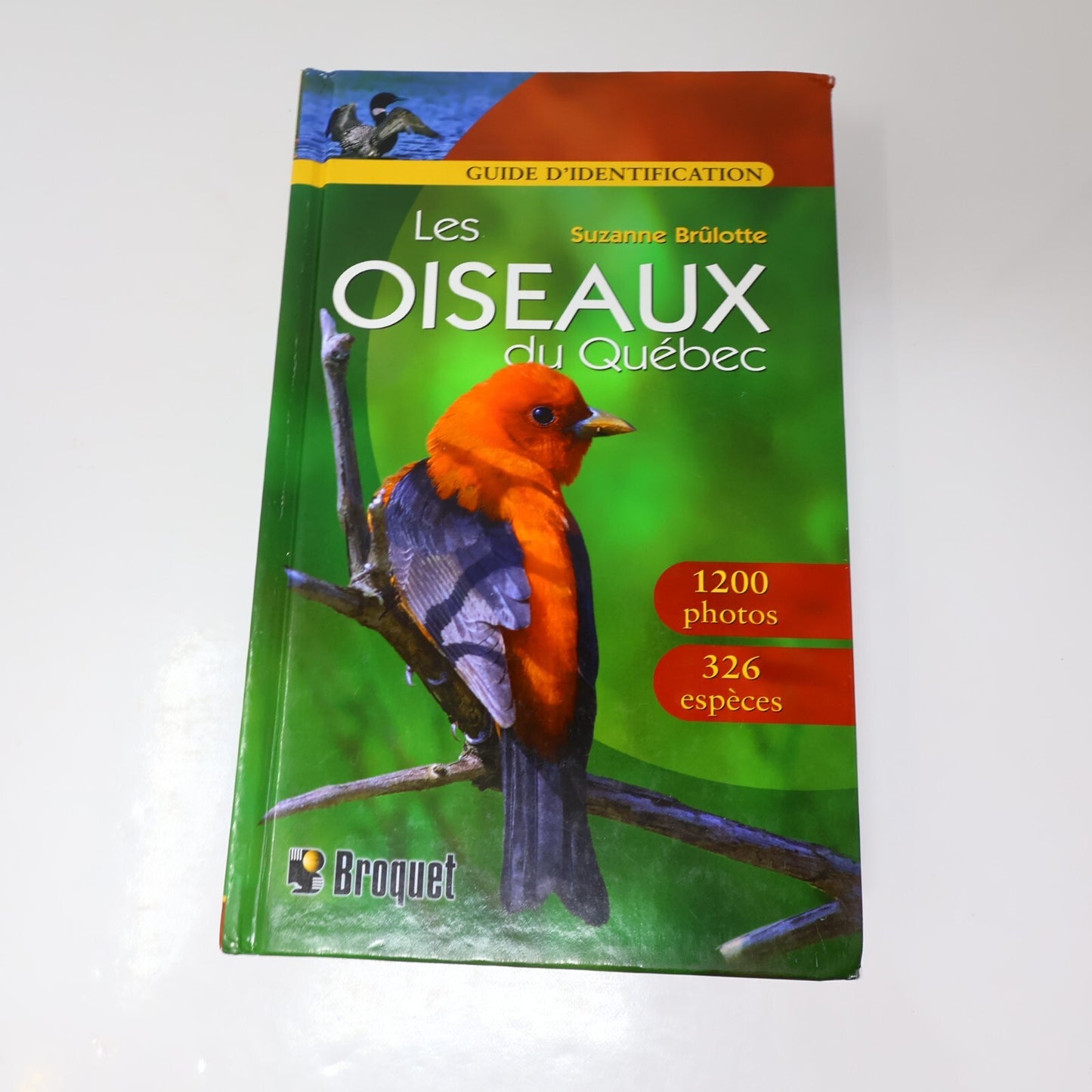 Suzanne Brûlotte Lot 3 Livres Les Oiseaux du Québec Guide d'Identification Books